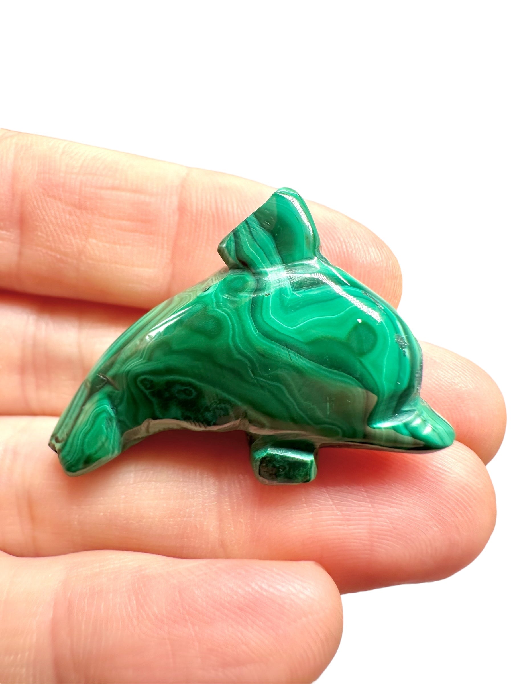 Malachite animal – Dolphin - MZ042