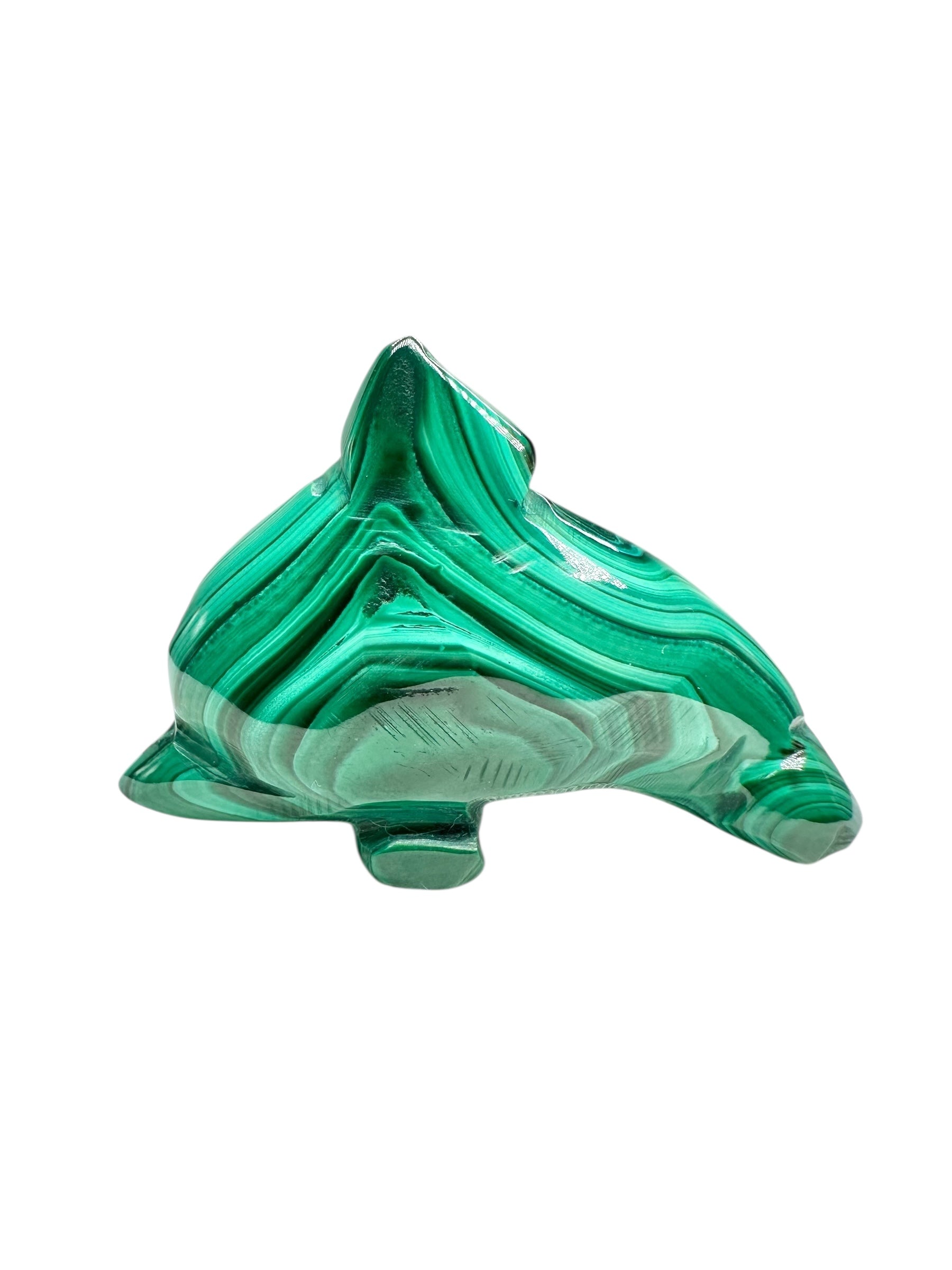 Malachite animal – Dolphin