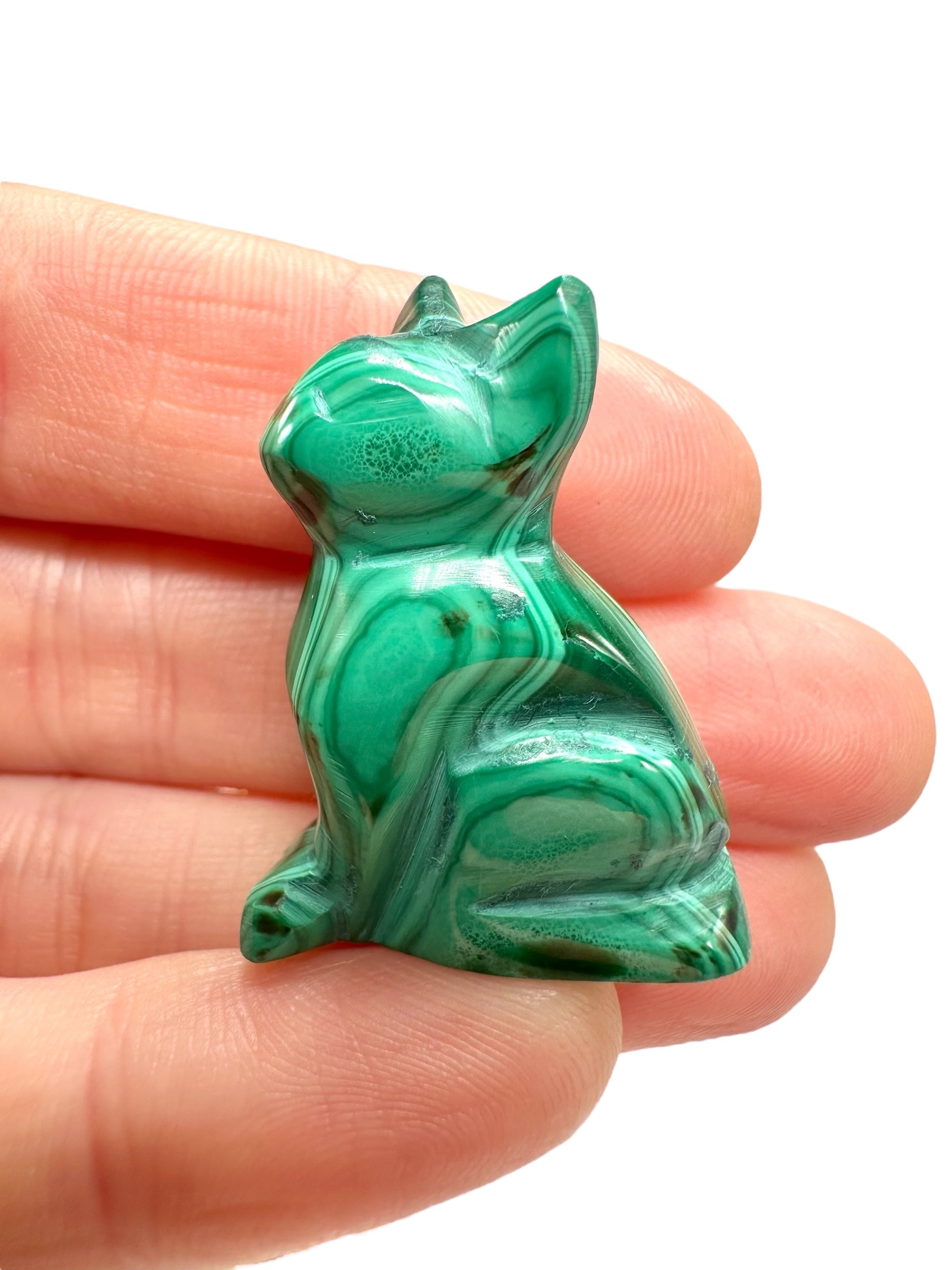 Malachite animal – Cat - MZ043