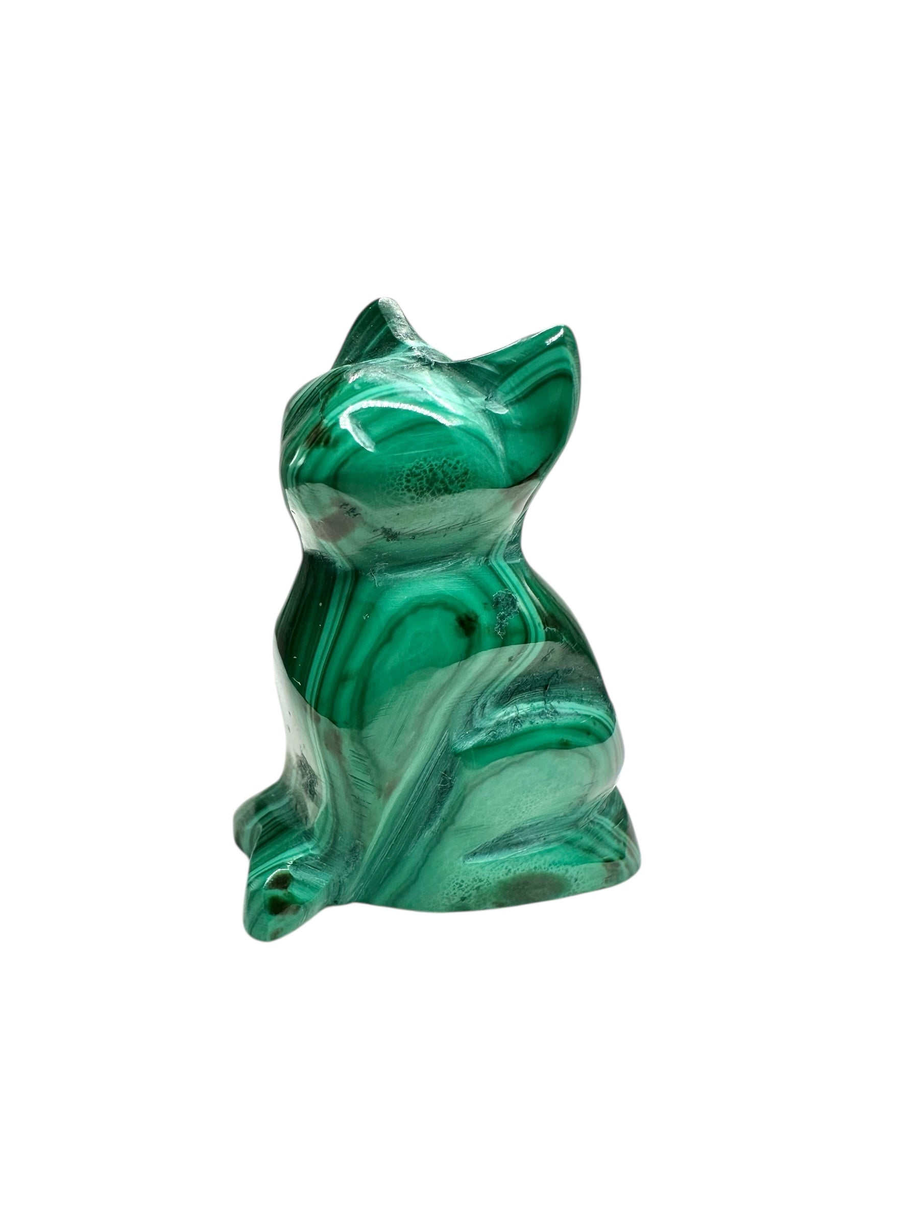Malachite animal – Cat