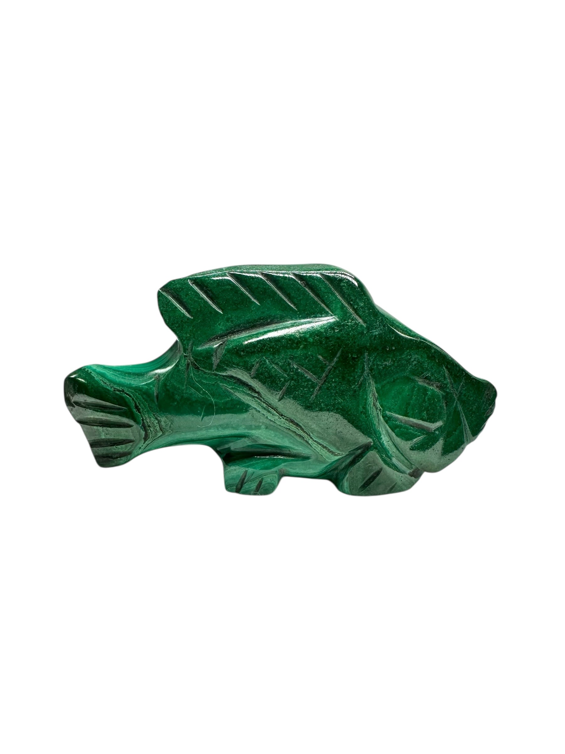 Malachite animal – Fish - MZ044
