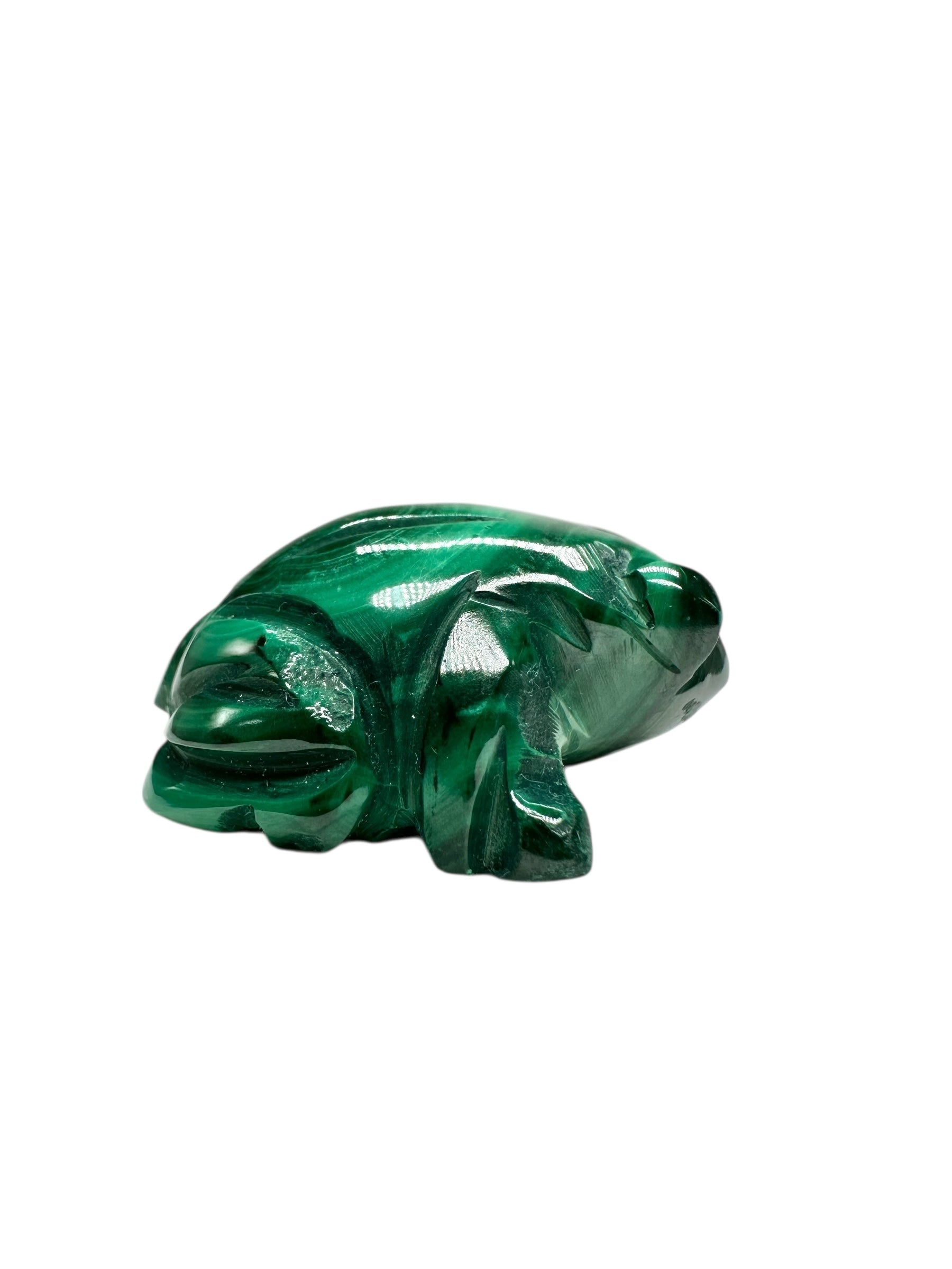Malachite animal – Frog - MZ045