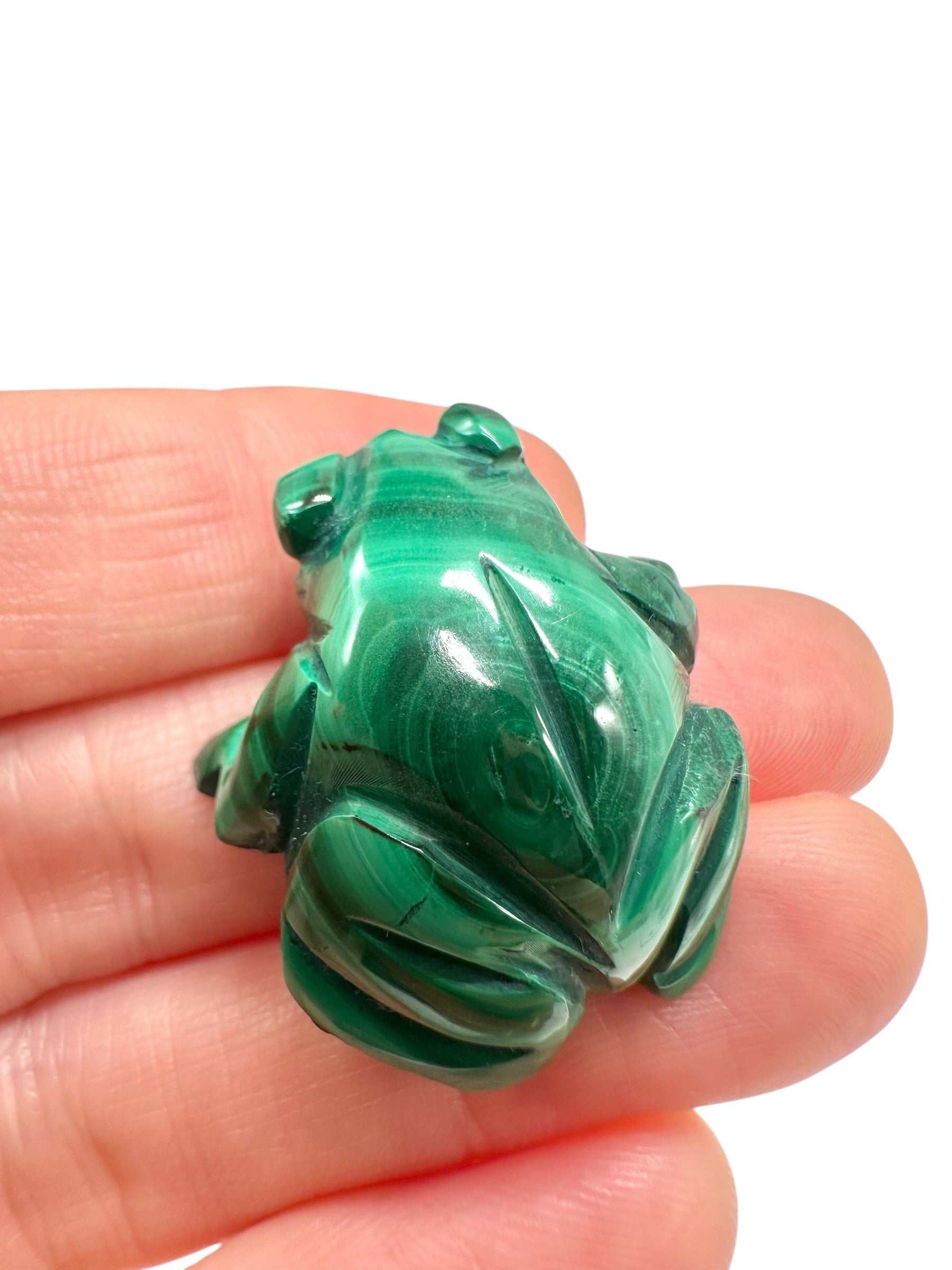 Malachite animal – Frog - MZ045