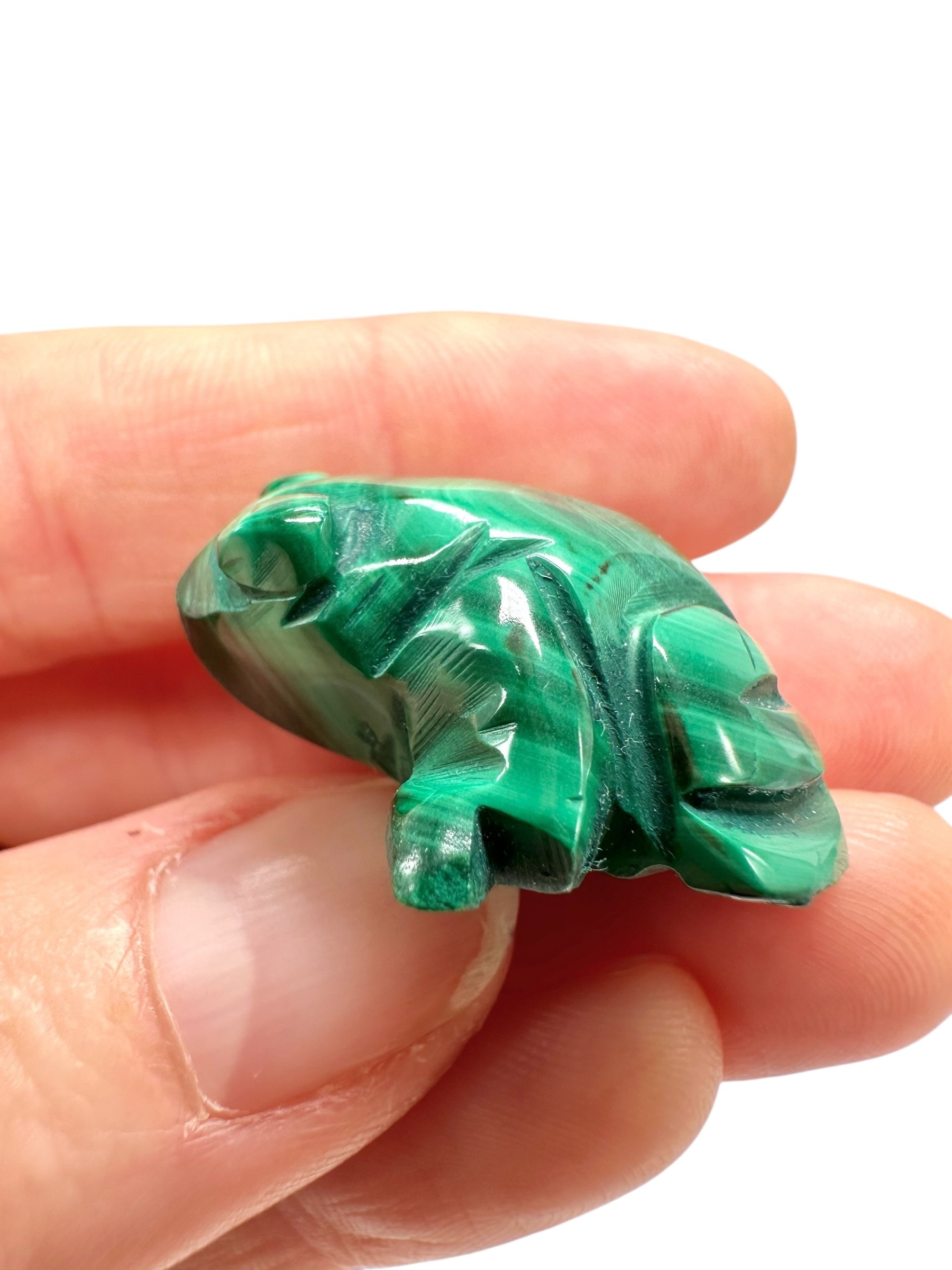 Malachite animal – Frog - MZ045
