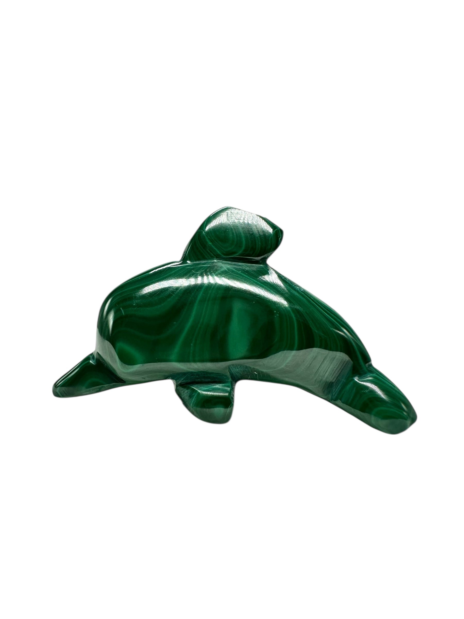 Malachite animal – Dolphin - MZ046