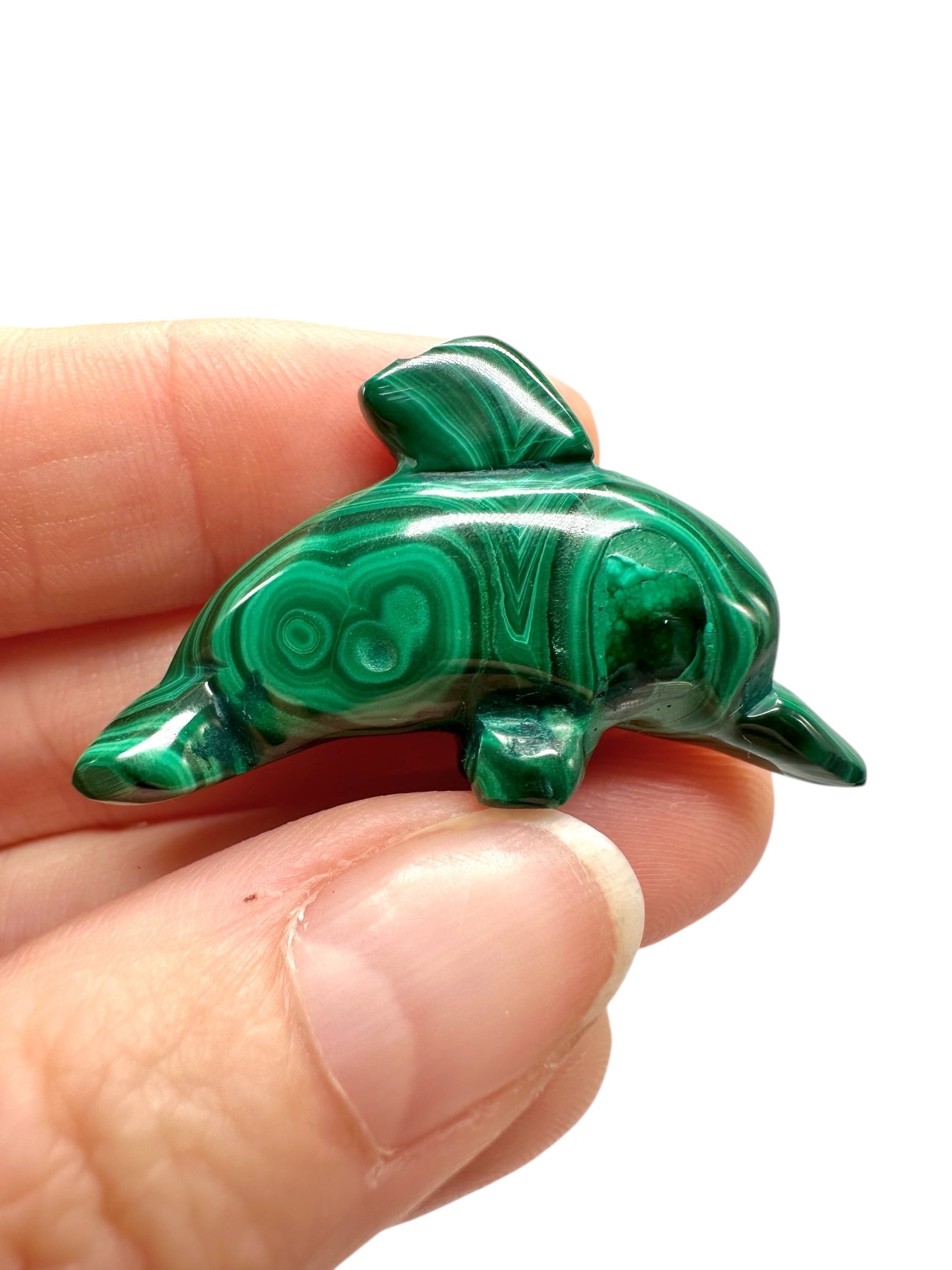 Malachite animal – Dolphin - MZ046