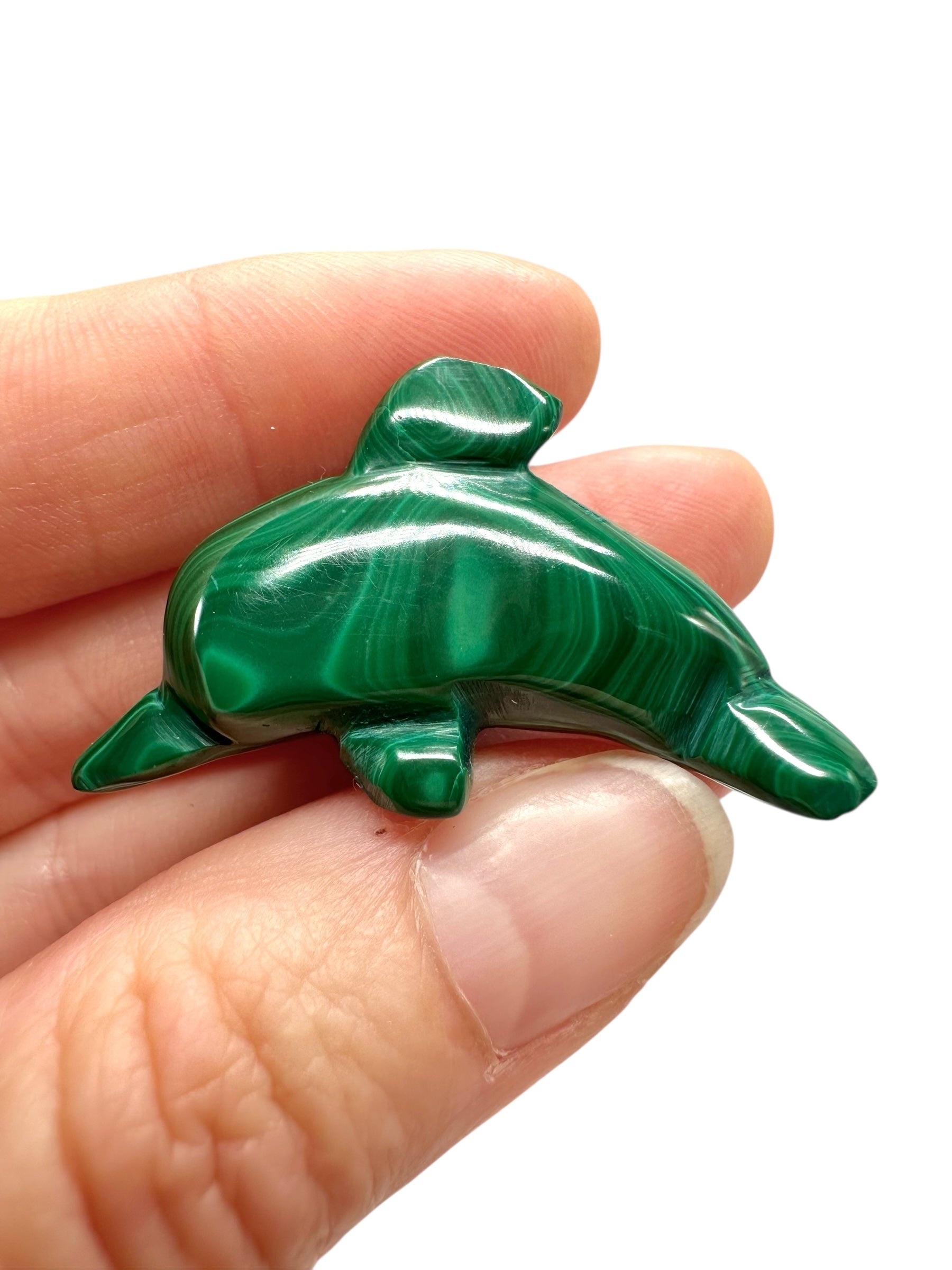 Malachite animal – Dolphin - MZ046