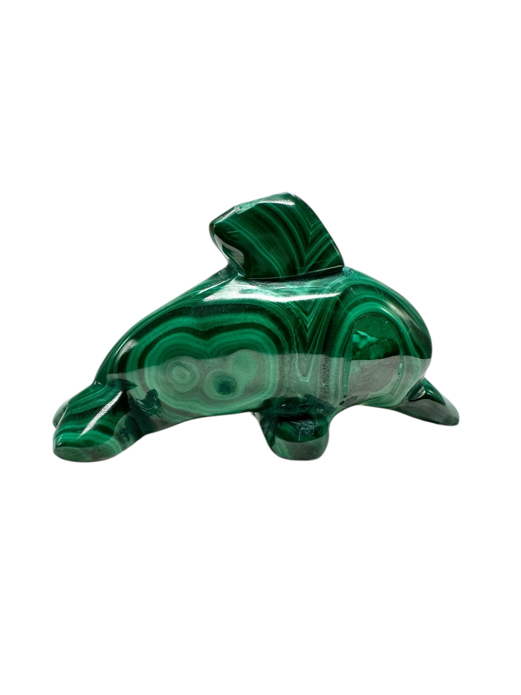 Malachite animal – Dolphin