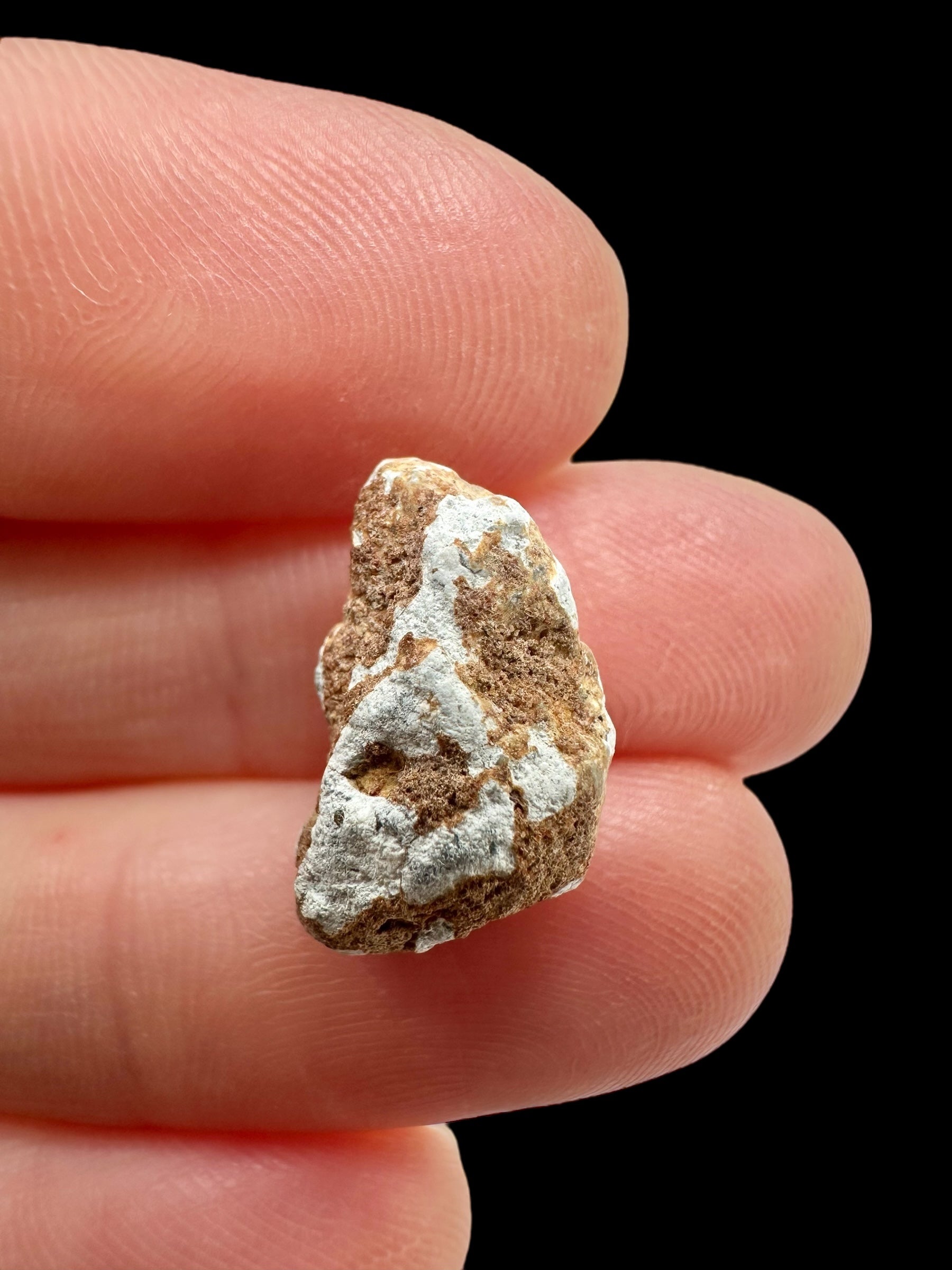 Lunar meteorite Gadamis 004 – 1,2g – Libya - MEGD36