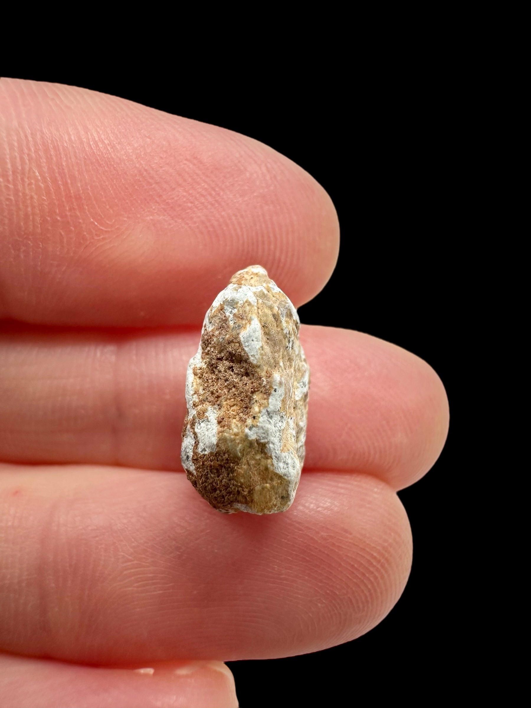 Lunar meteorite Gadamis 004 – 1,2g – Libya - MEGD36