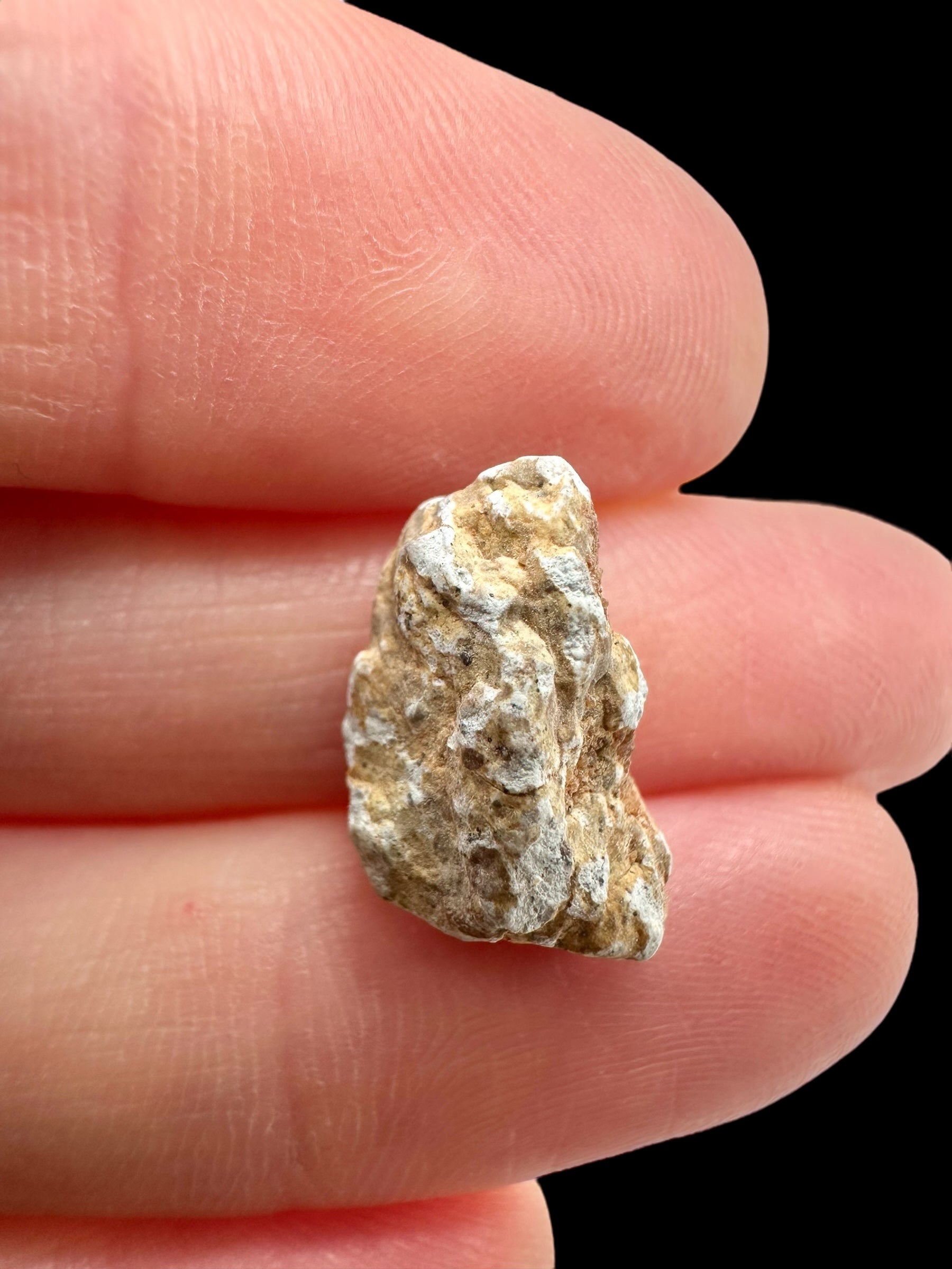 Lunar meteorite Gadamis 004 – 1,2g – Libya