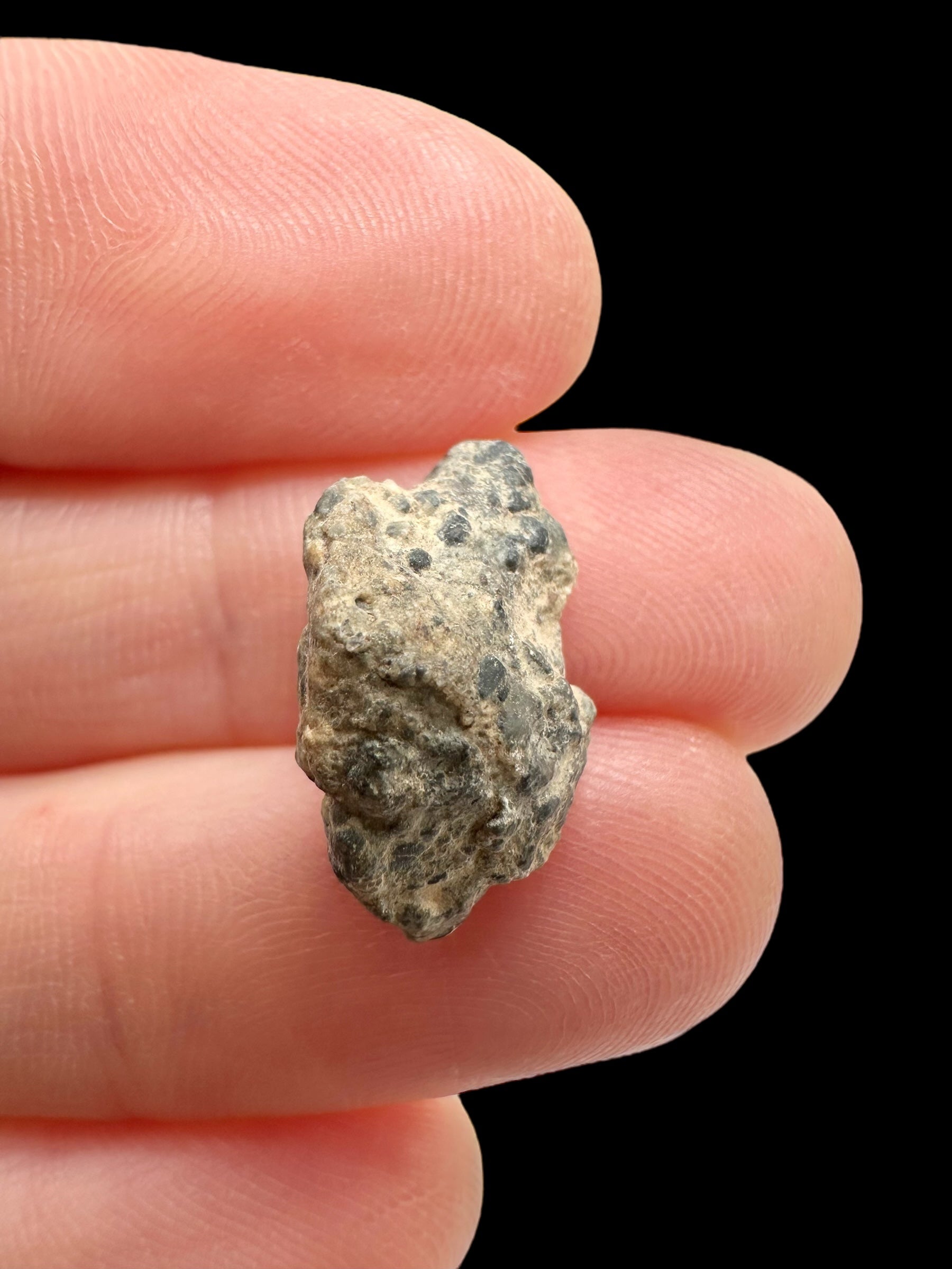 Lunar meteorite Gadamis 004 – 1,1g – Libya - MEGD37