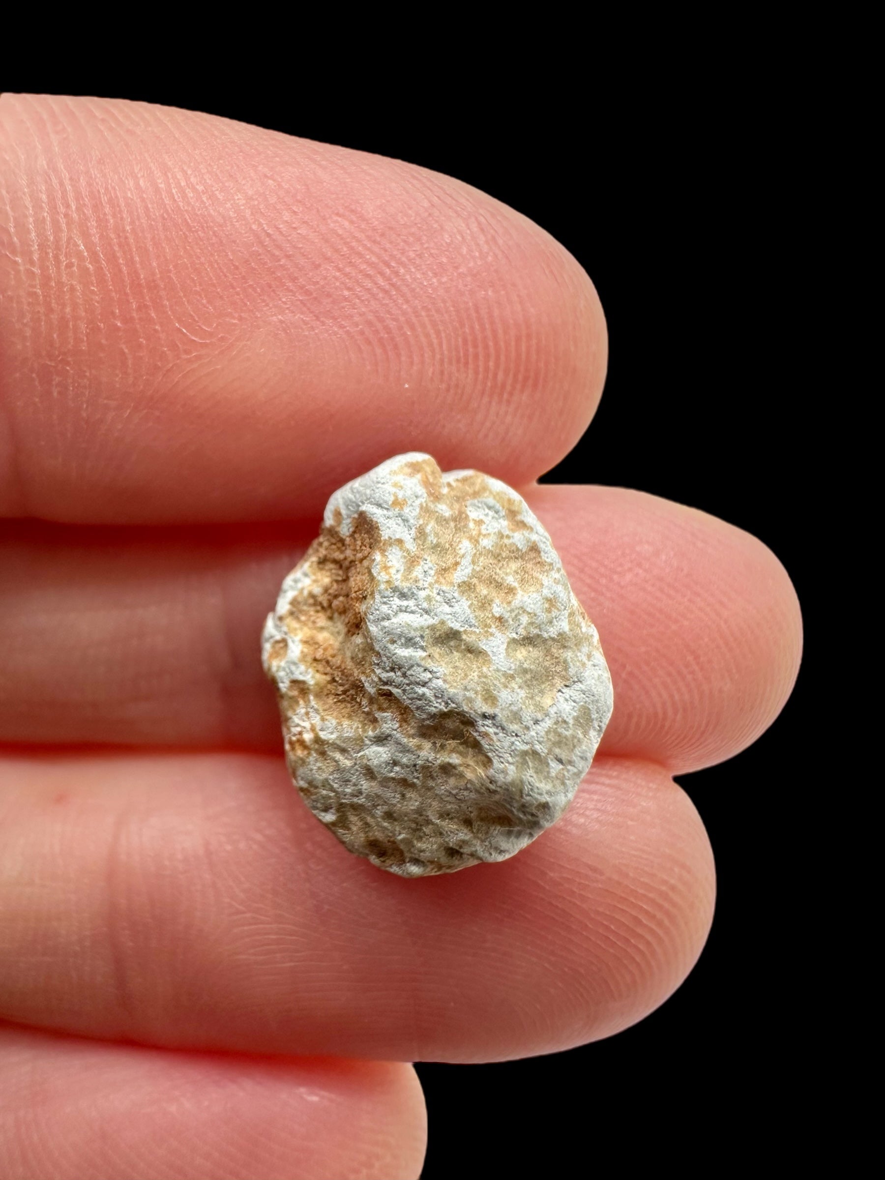 Lunar meteorite Gadamis 004 – 1,2g – Libya - MEGD38
