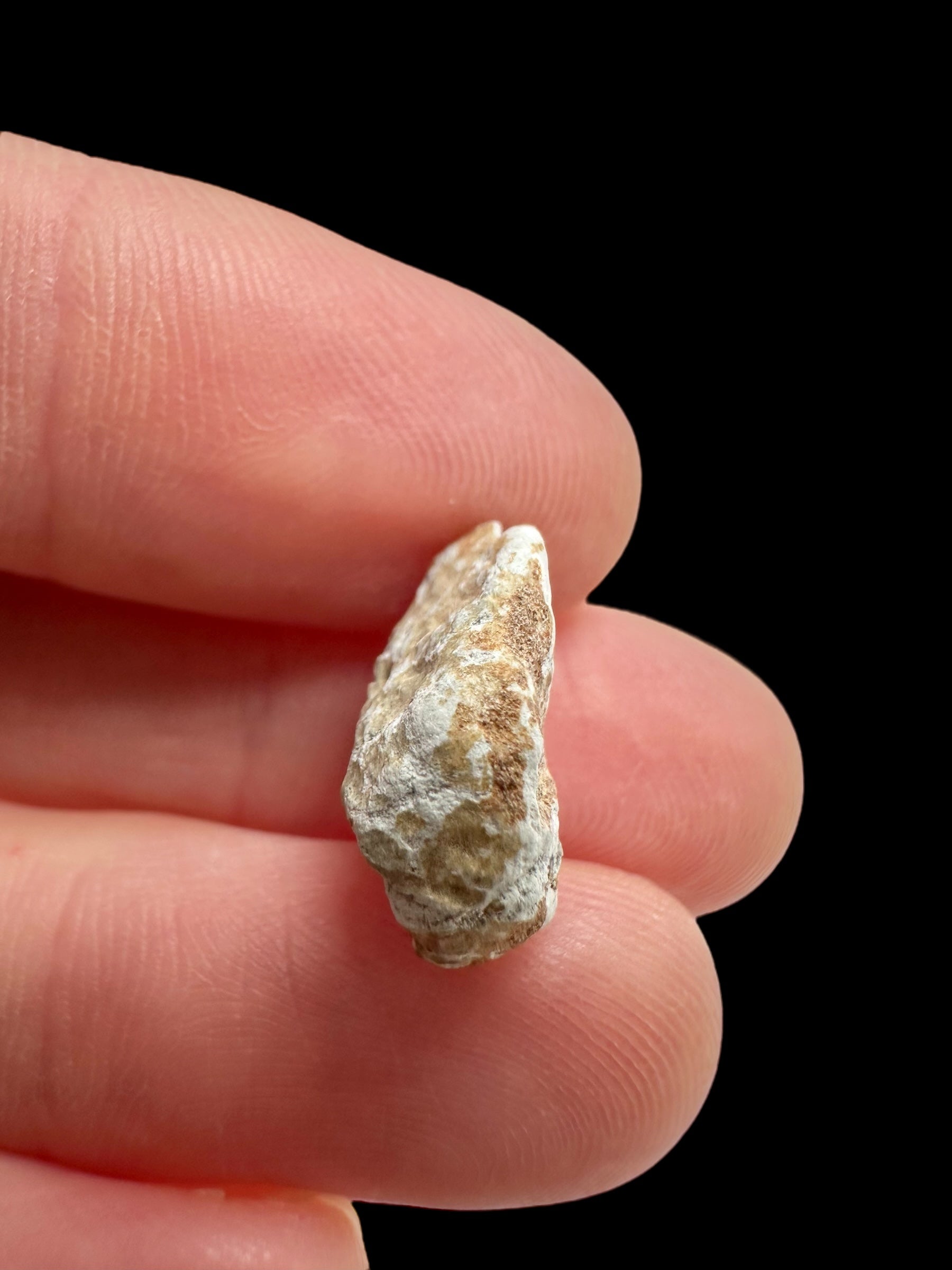 Lunar meteorite Gadamis 004 – 1,2g – Libya - MEGD38