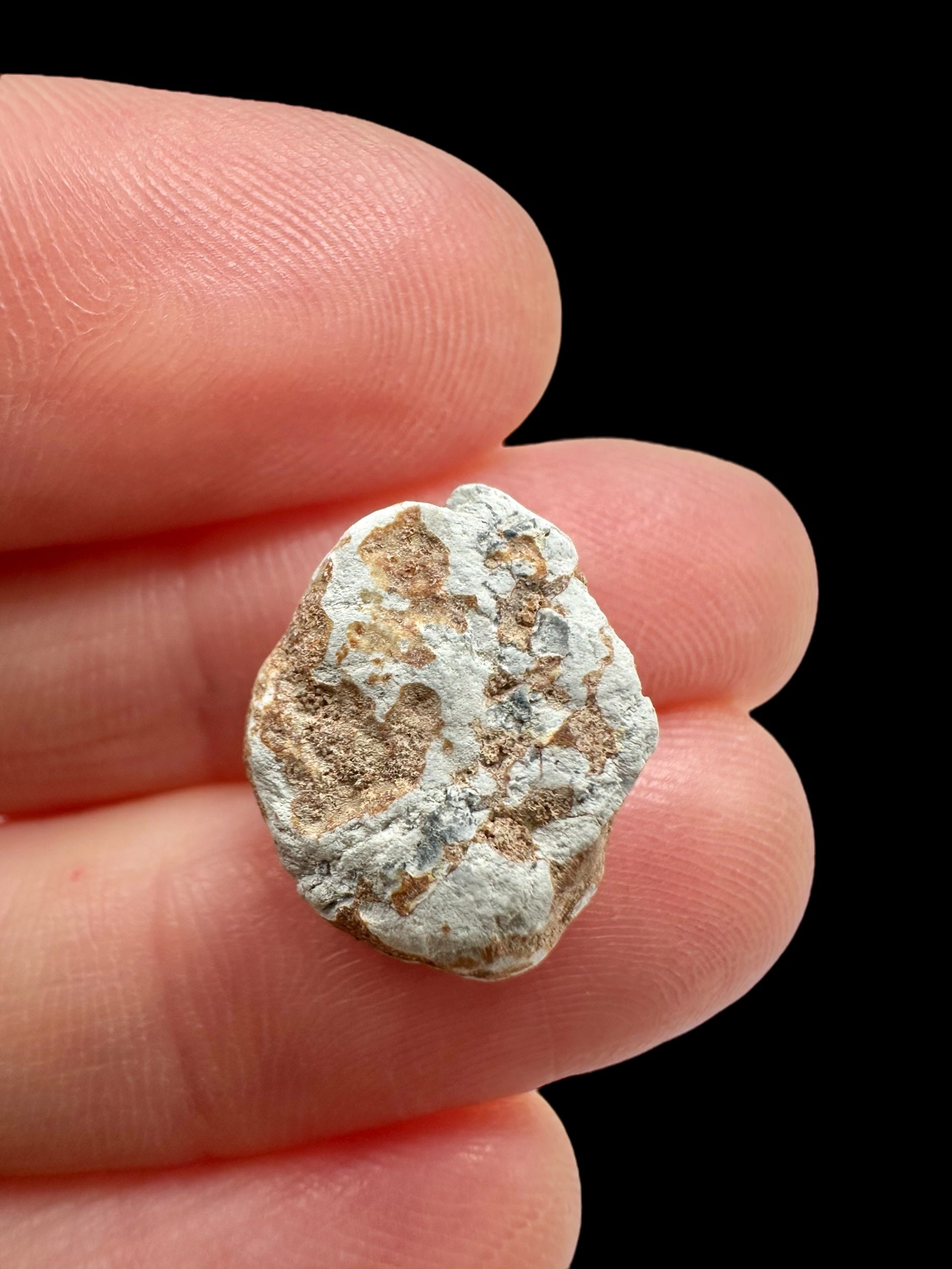 Lunar meteorite Gadamis 004 – 1,2g – Libya