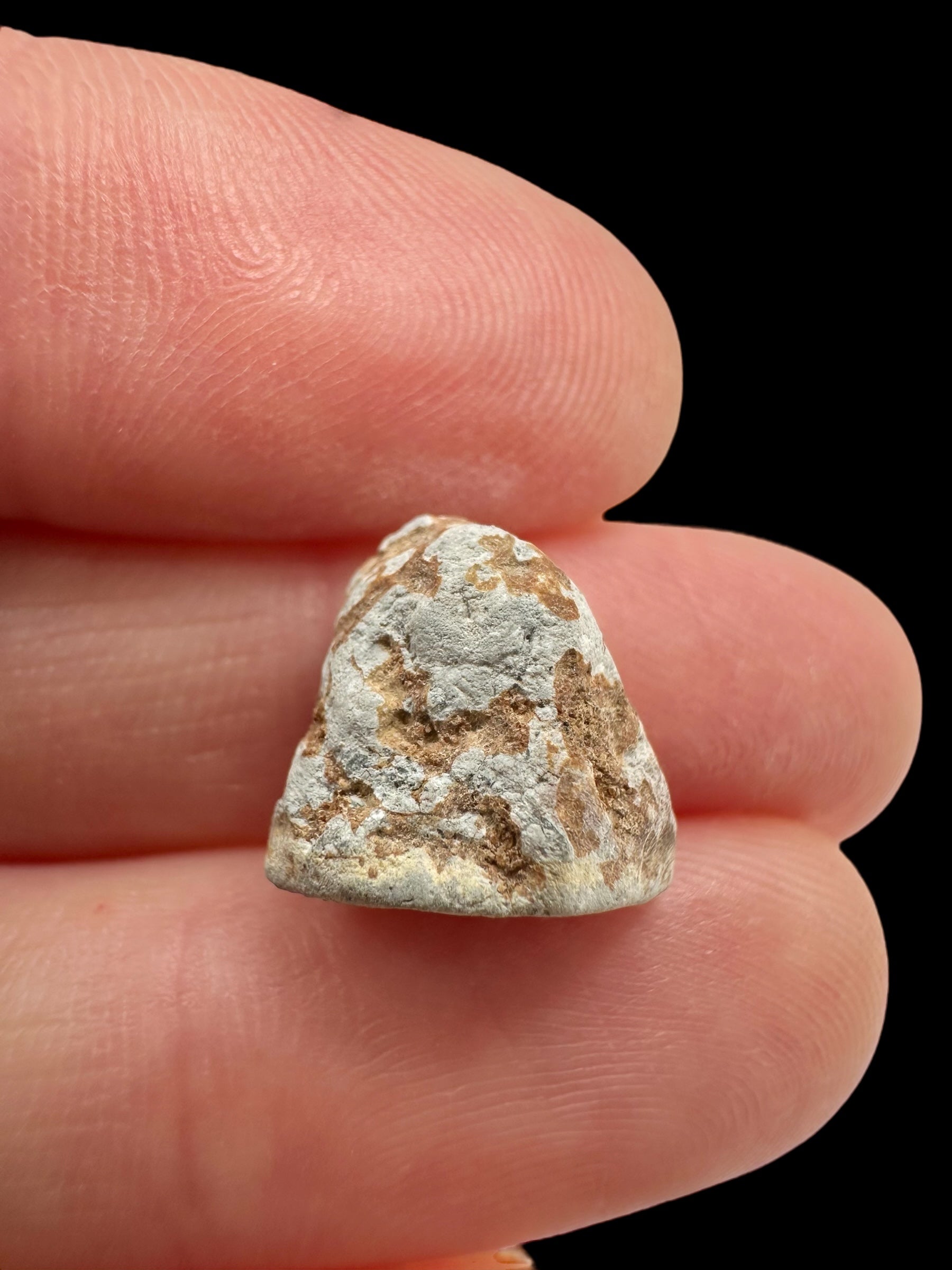 Lunar meteorite Gadamis 004 – 1,2g – Libya - MEGD43