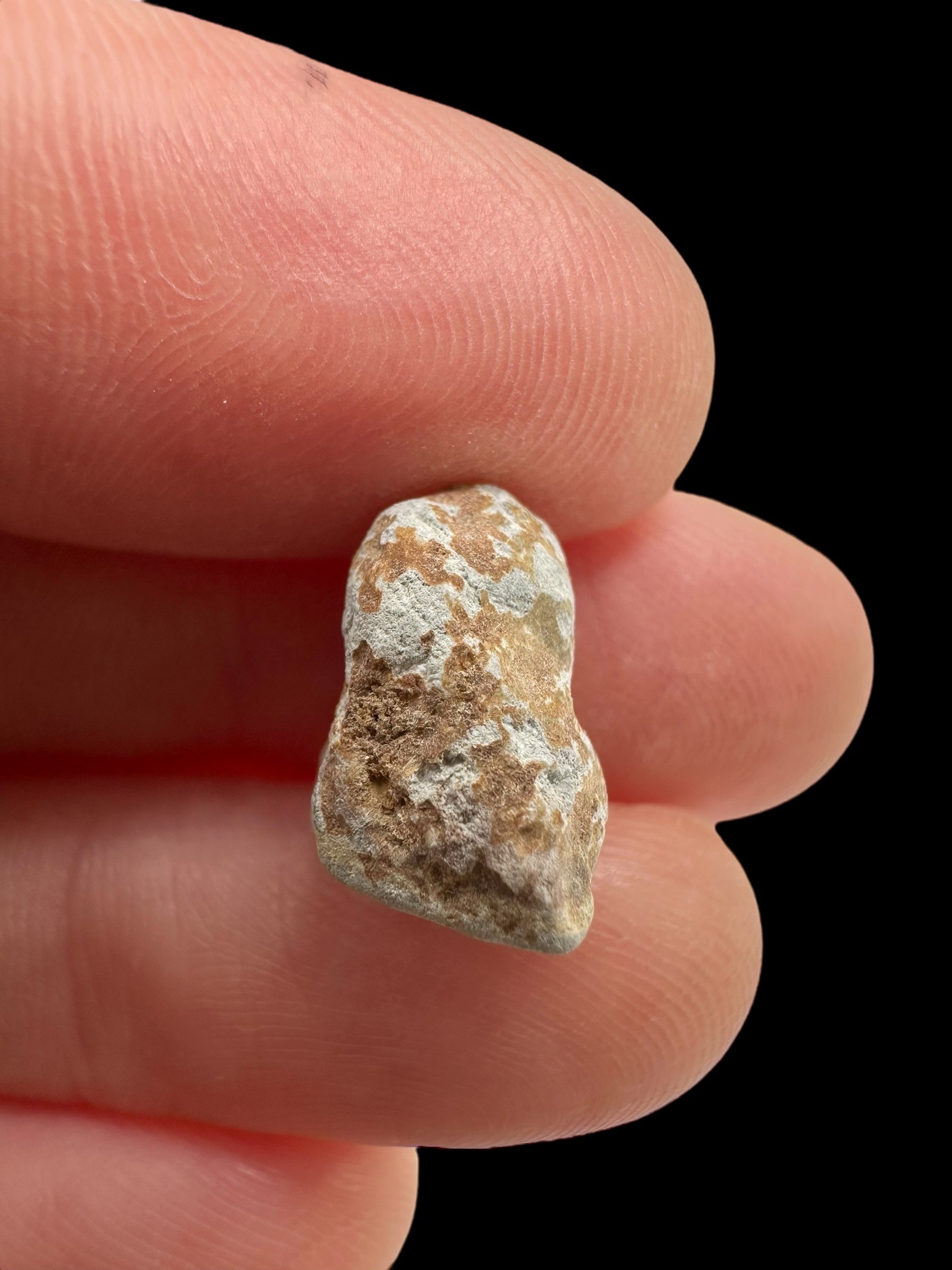 Lunar meteorite Gadamis 004 – 1,2g – Libya - MEGD43