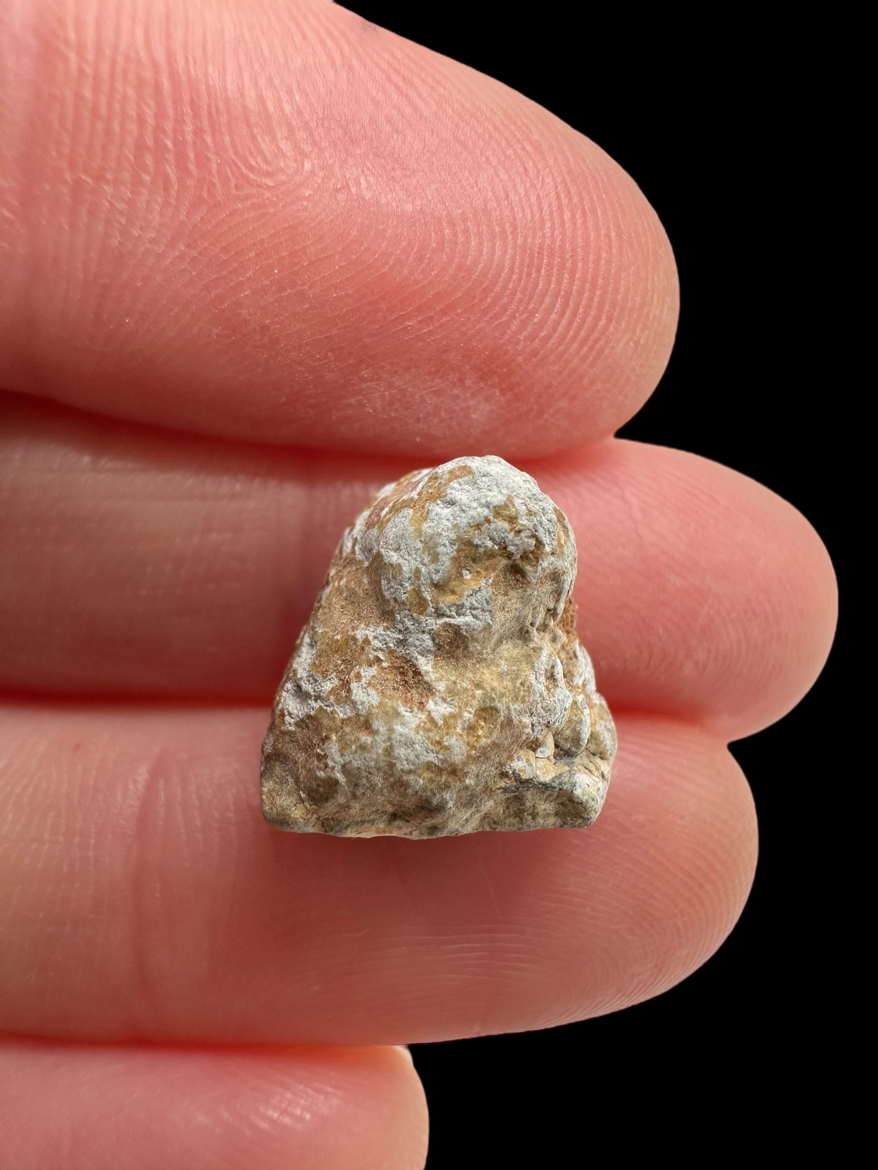 Lunar meteorite Gadamis 004 – 1,2g – Libya - MEGD43