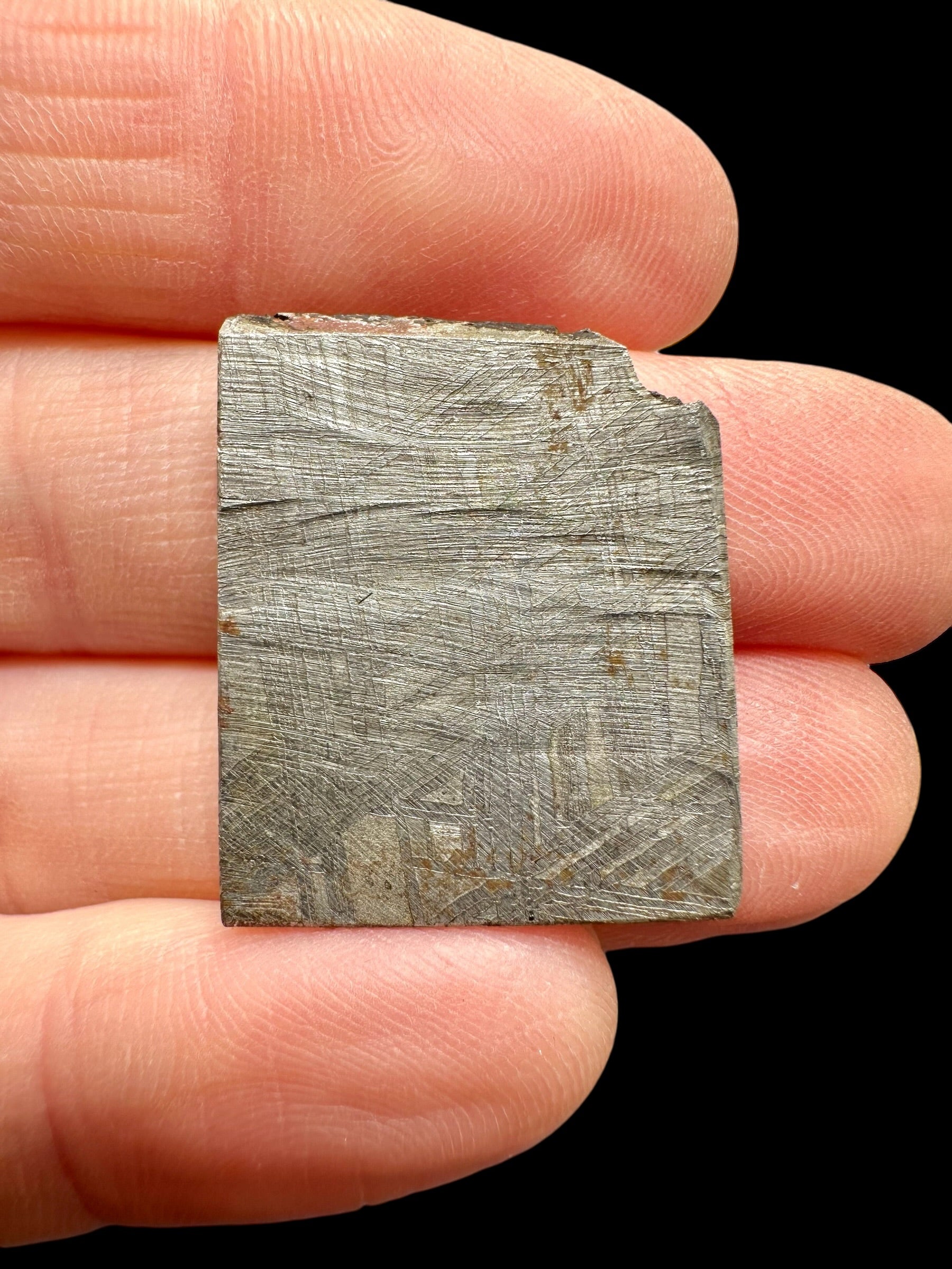 Meteorite Muonionalusta 6,9g – Norrbotten, Sweden - MEMO131