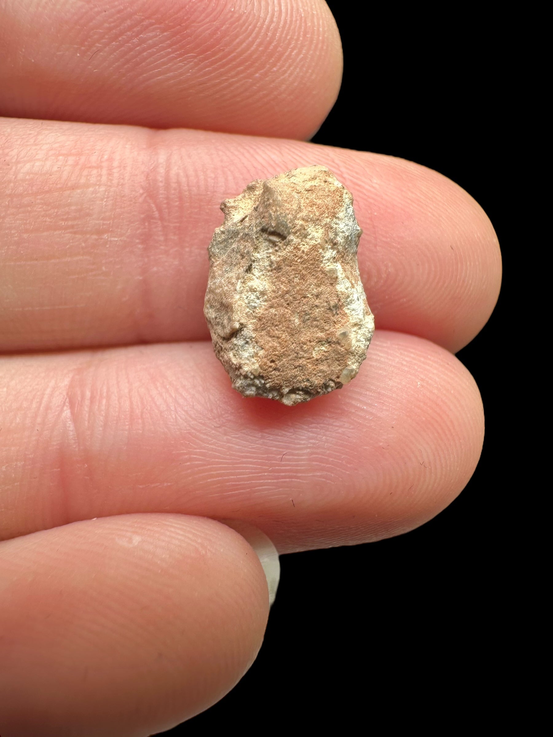 Lunar meteorite Bechar 007 – 0,8g – Algeria - MEBA50