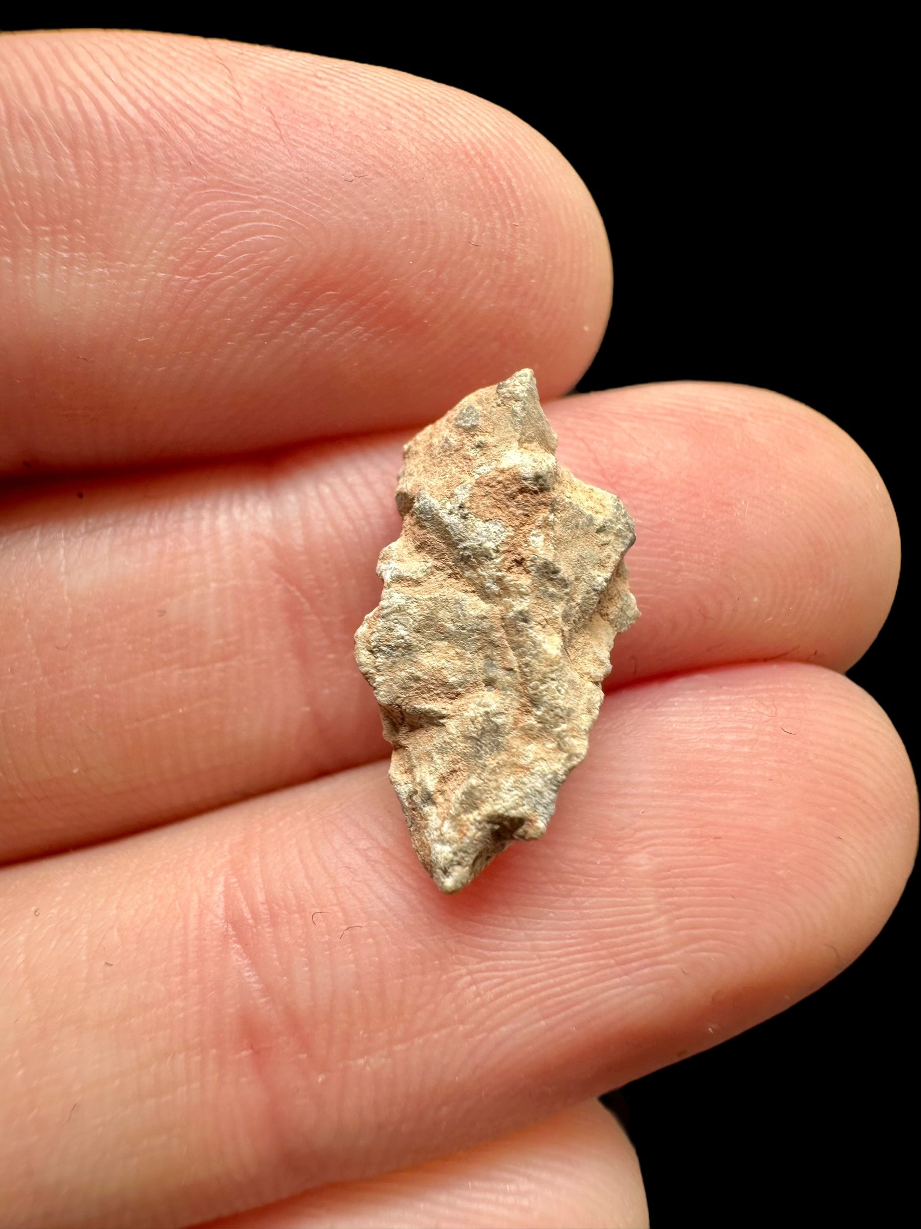 Lunar meteorite Bechar 007 – 0,7g – Algeria