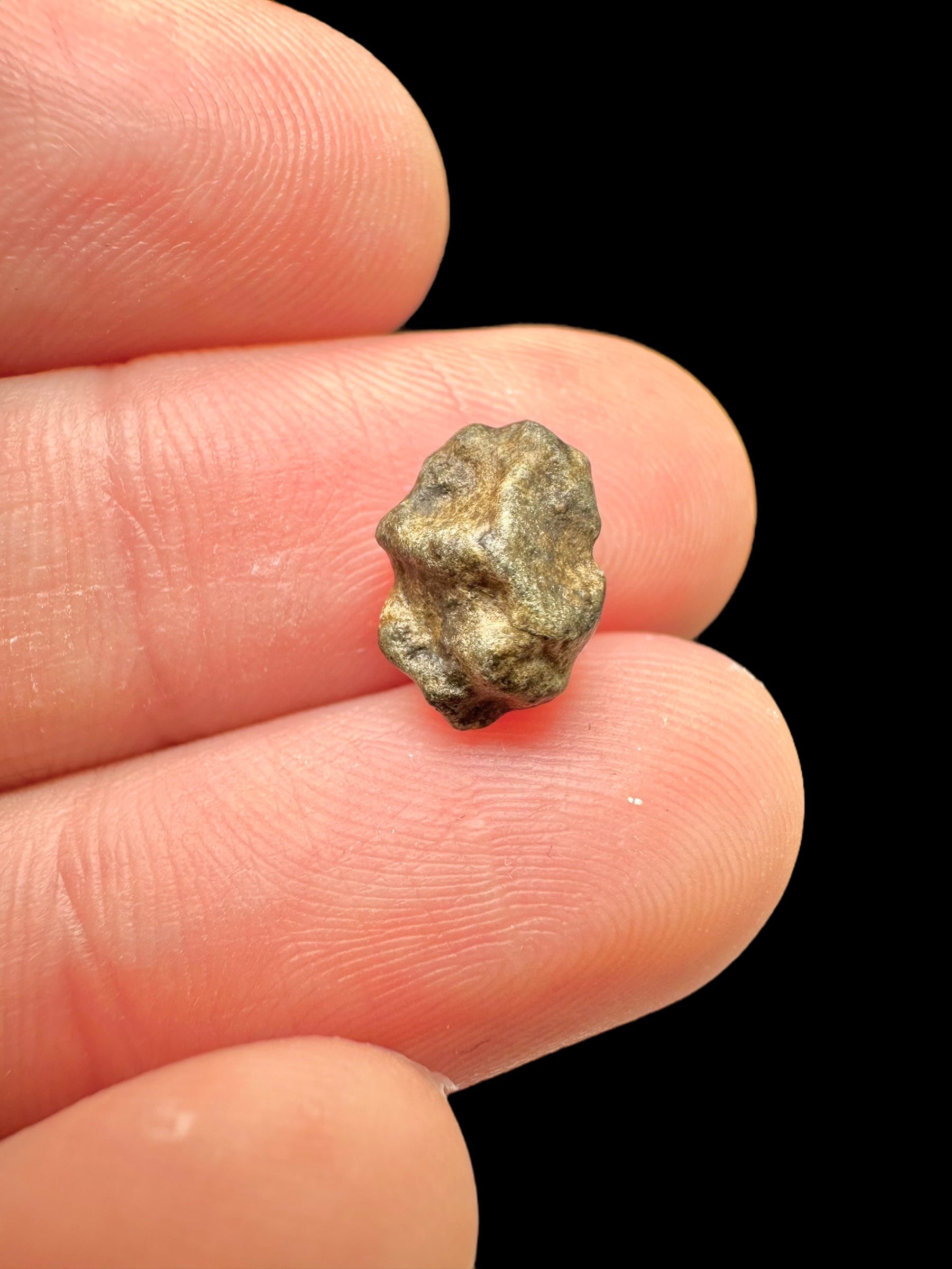Meteorite Amgala 001 – 0,5g / raw – Western Sahara - MEAM32