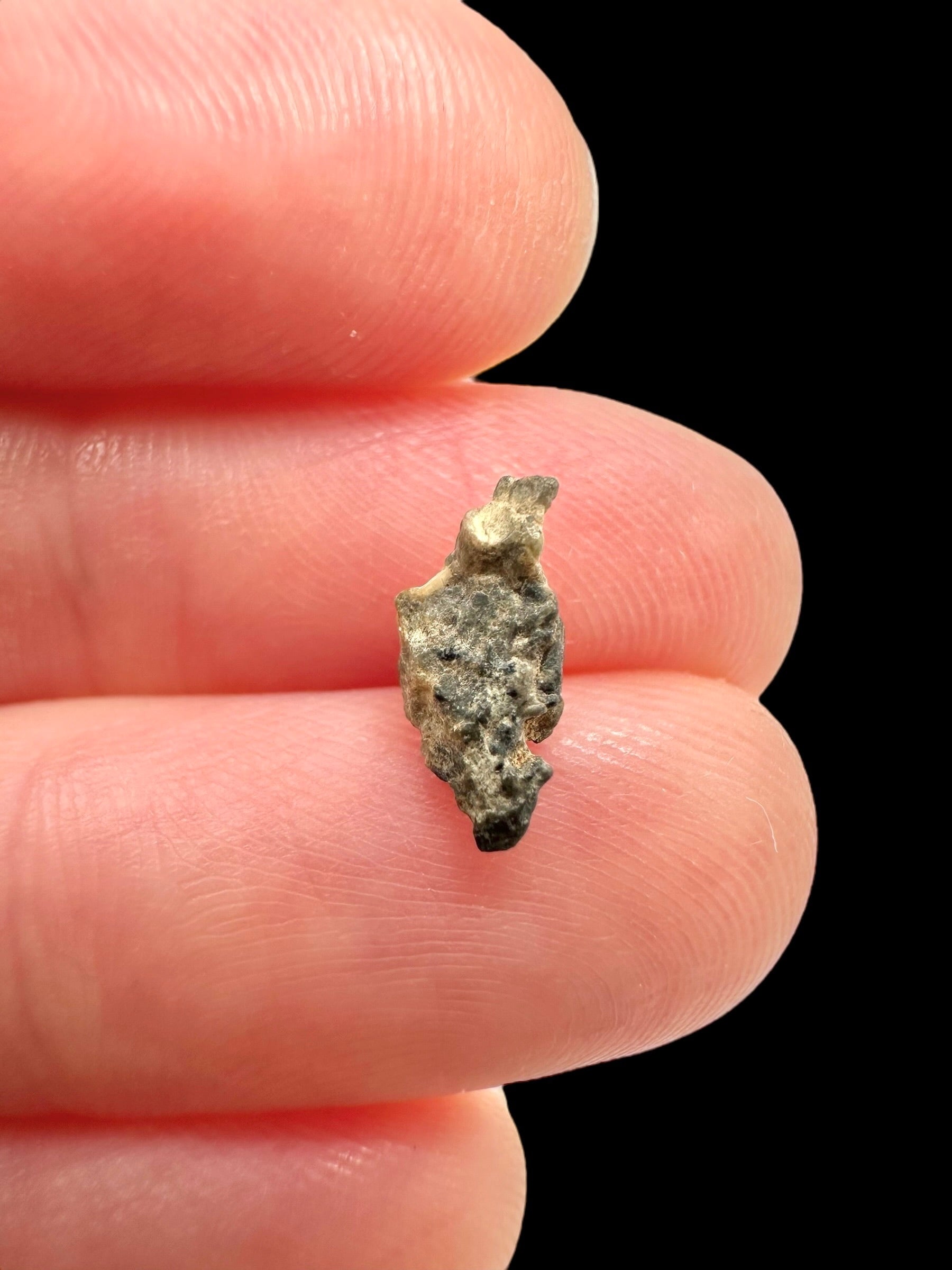 Lunar meteorite Bechar 003/006 – 0,1g – Algeria - MEBA73