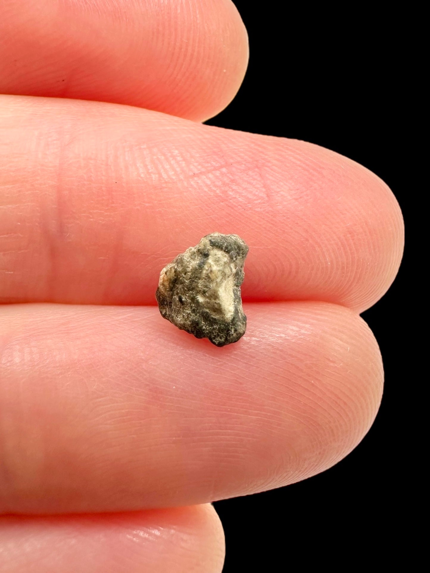 Lunar meteorite Bechar 003/006 – 0,1g – Algeria - MEBA81