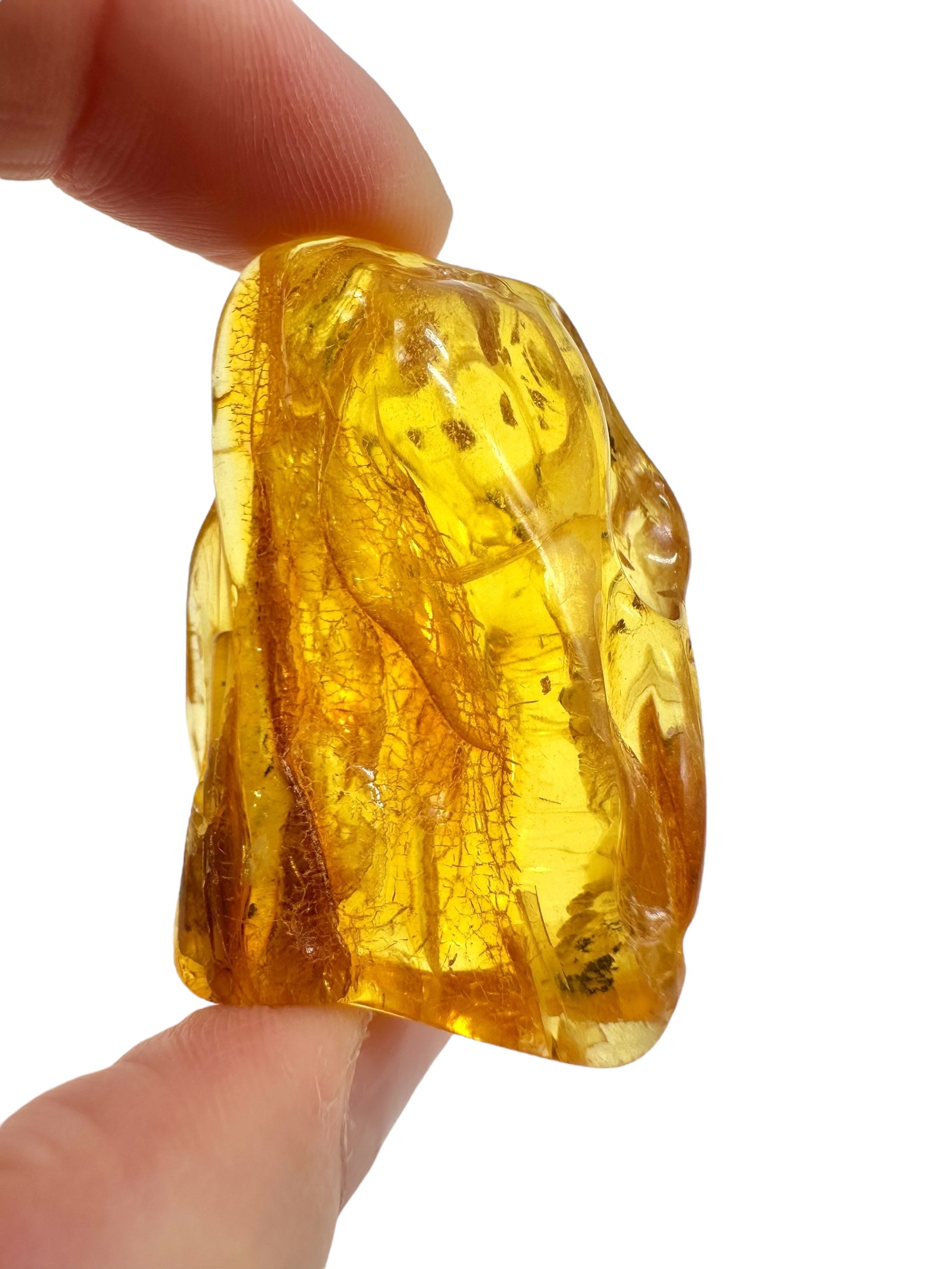 Insects in amber – Lithuania – 13g - IJ185