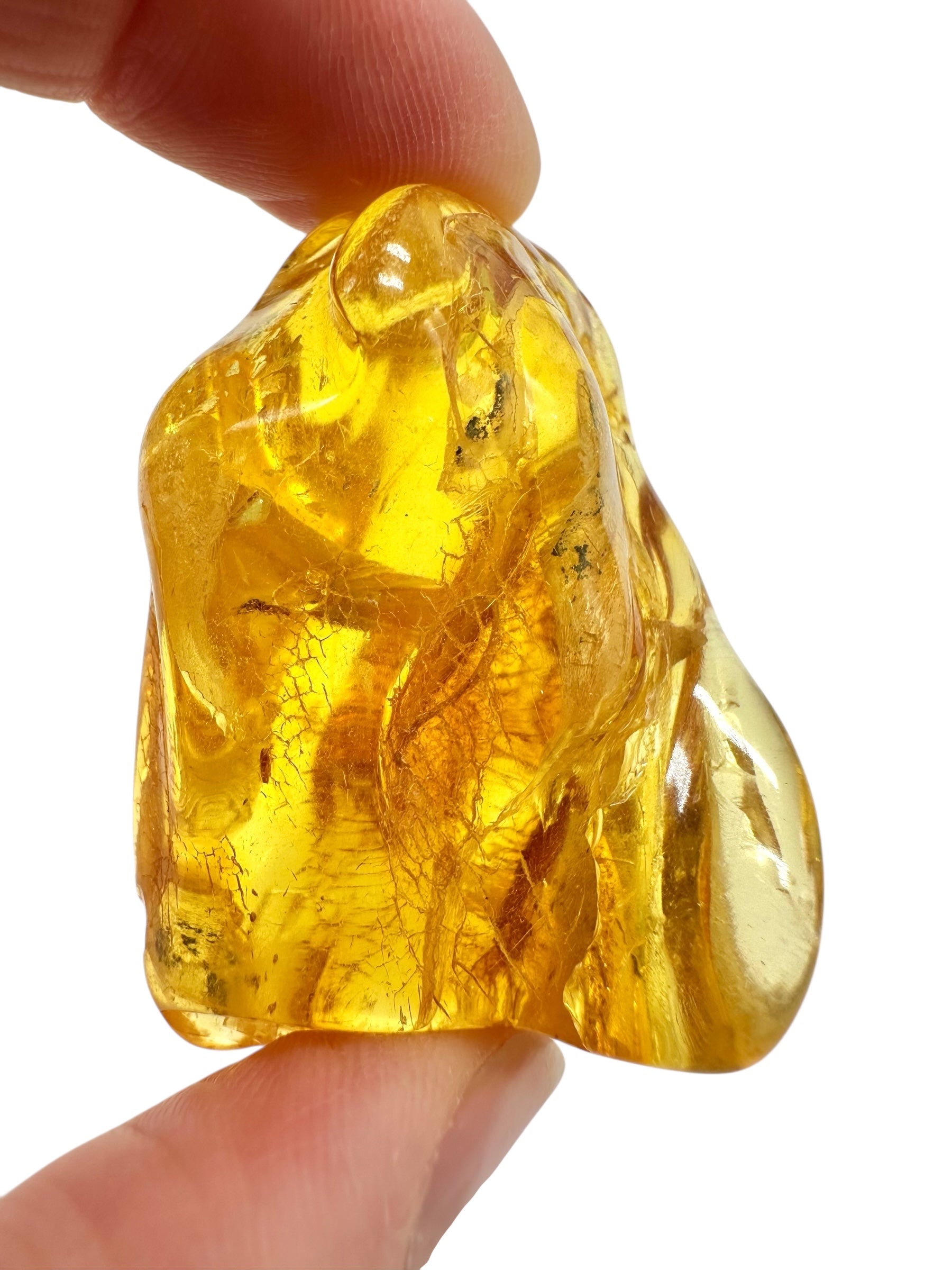 Insects in amber – Lithuania – 13g - IJ185