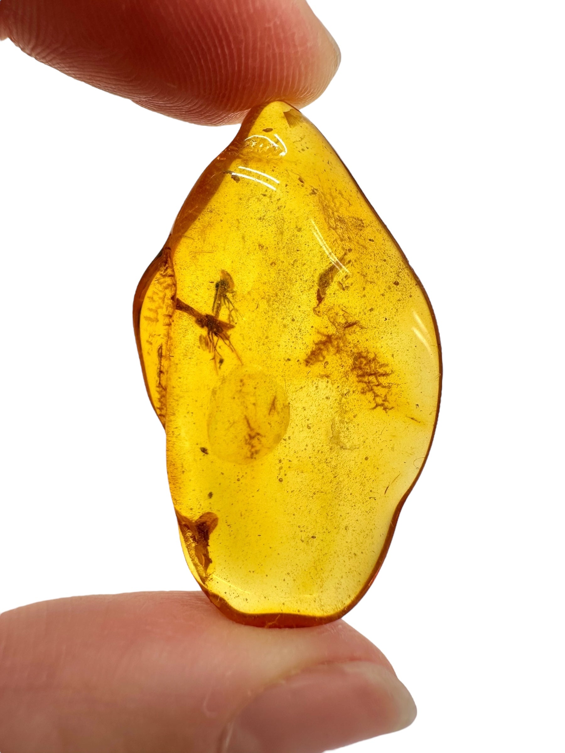 Insects in amber – Lithuania – 2,8g - IJ186