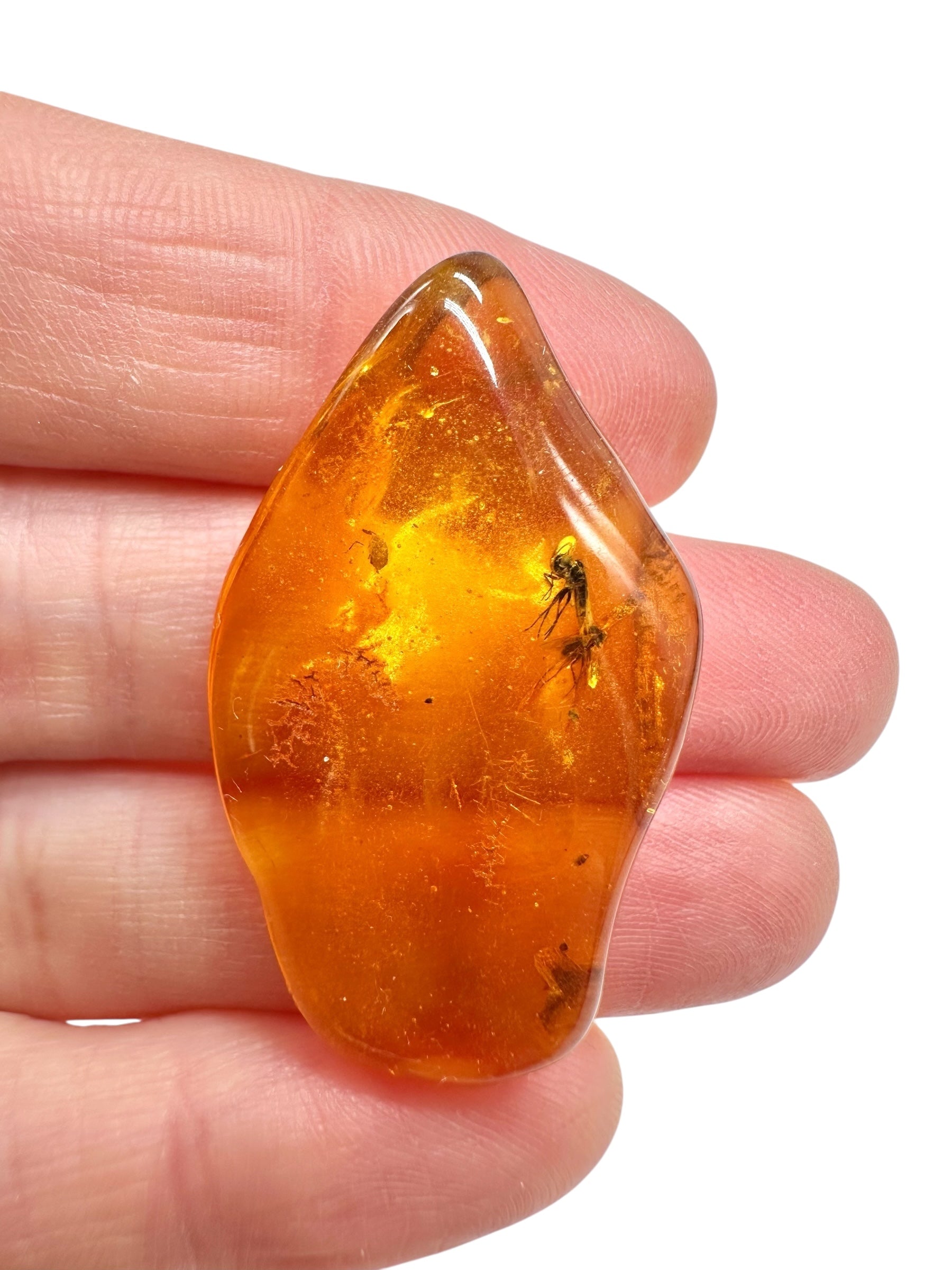 Insects in amber – Lithuania – 2,8g - IJ186