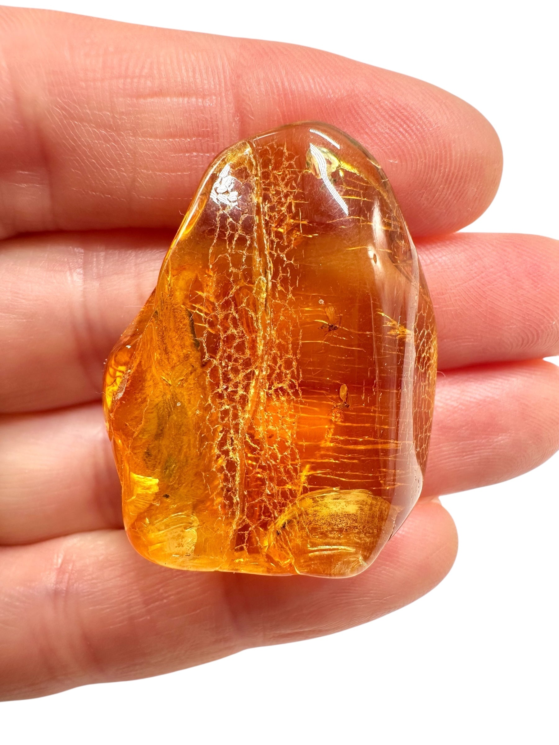 Insects in amber – Lithuania – 5,4g - IJ189