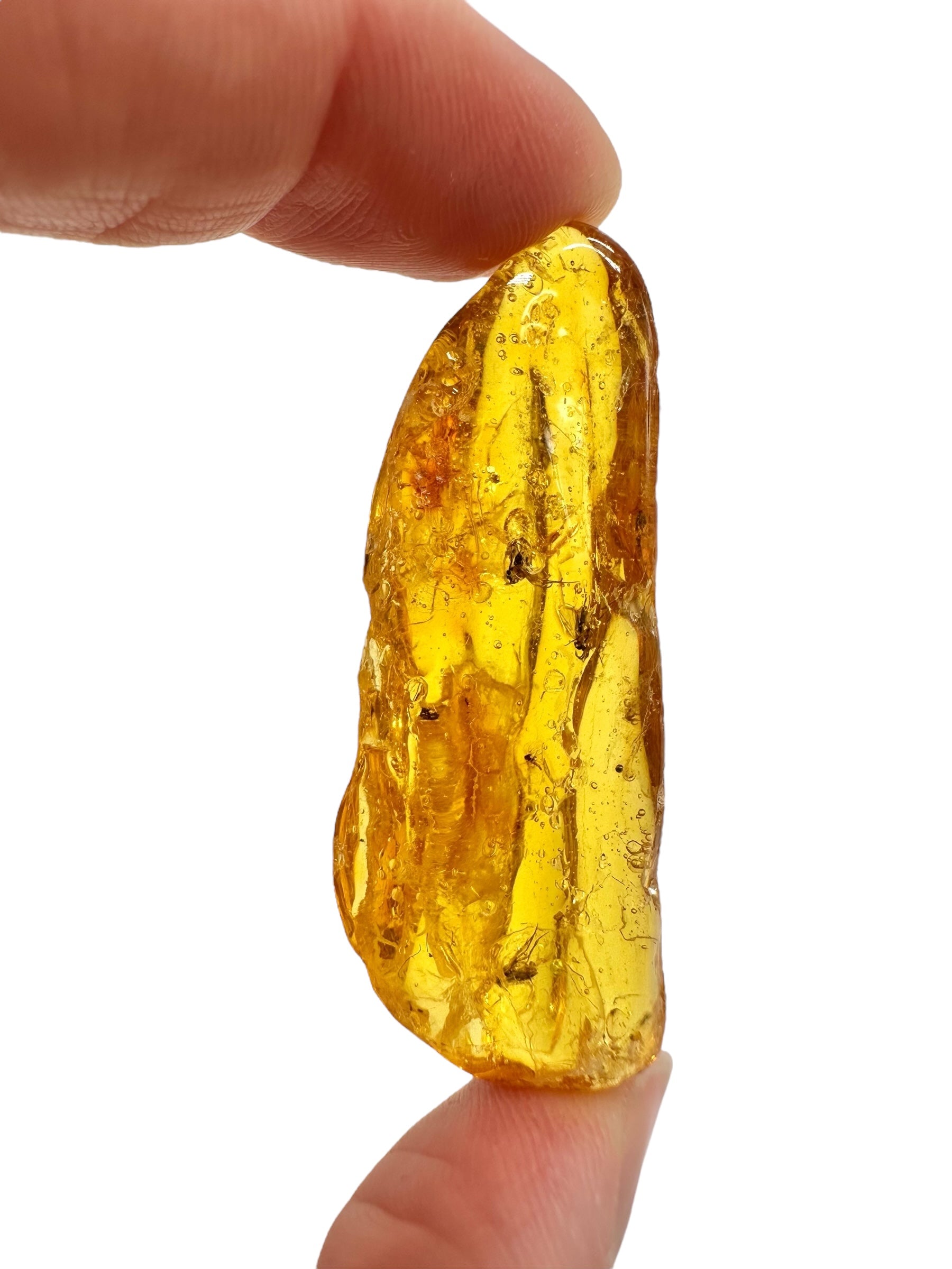 Insects in amber – Lithuania – 4,7g - IJ190