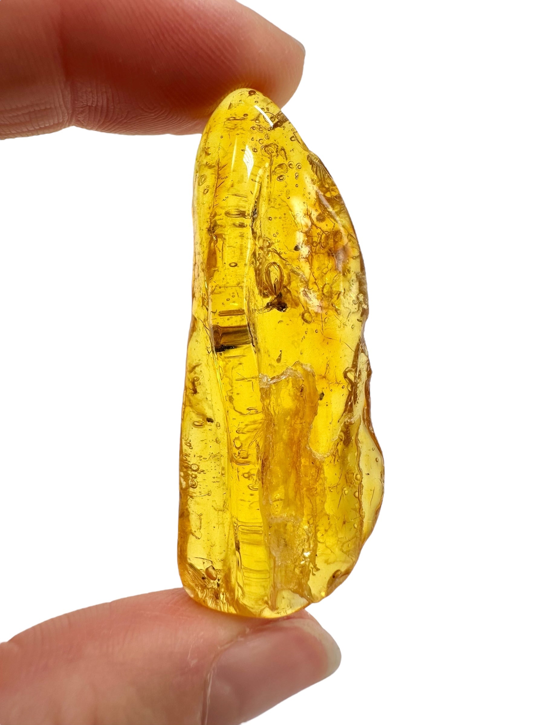 Insects in amber – Lithuania – 4,7g - IJ190