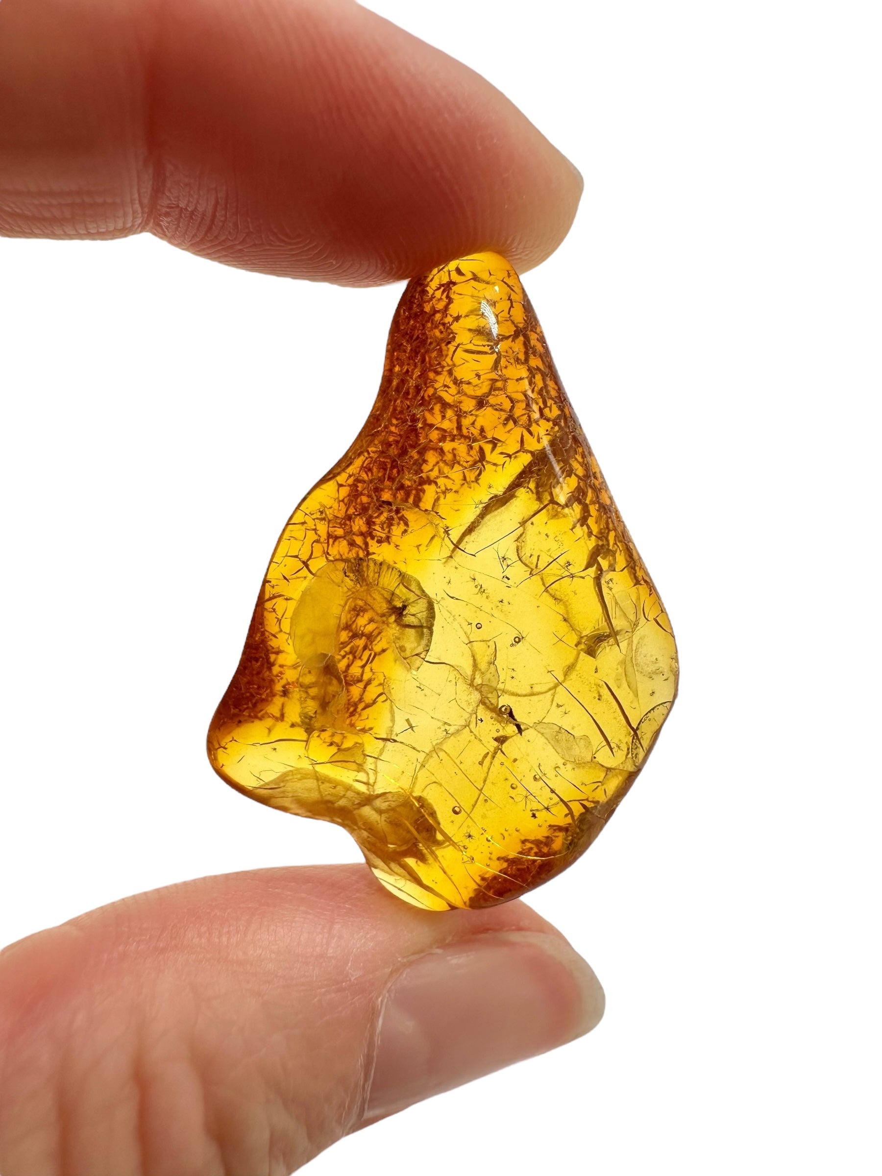 Insects in amber – Lithuania – 2,5g - IJ191