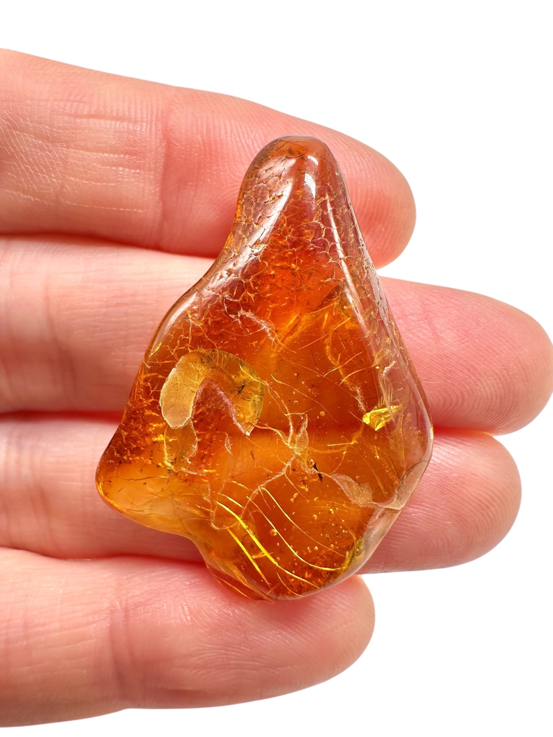 Insects in amber – Lithuania – 2,5g - IJ191
