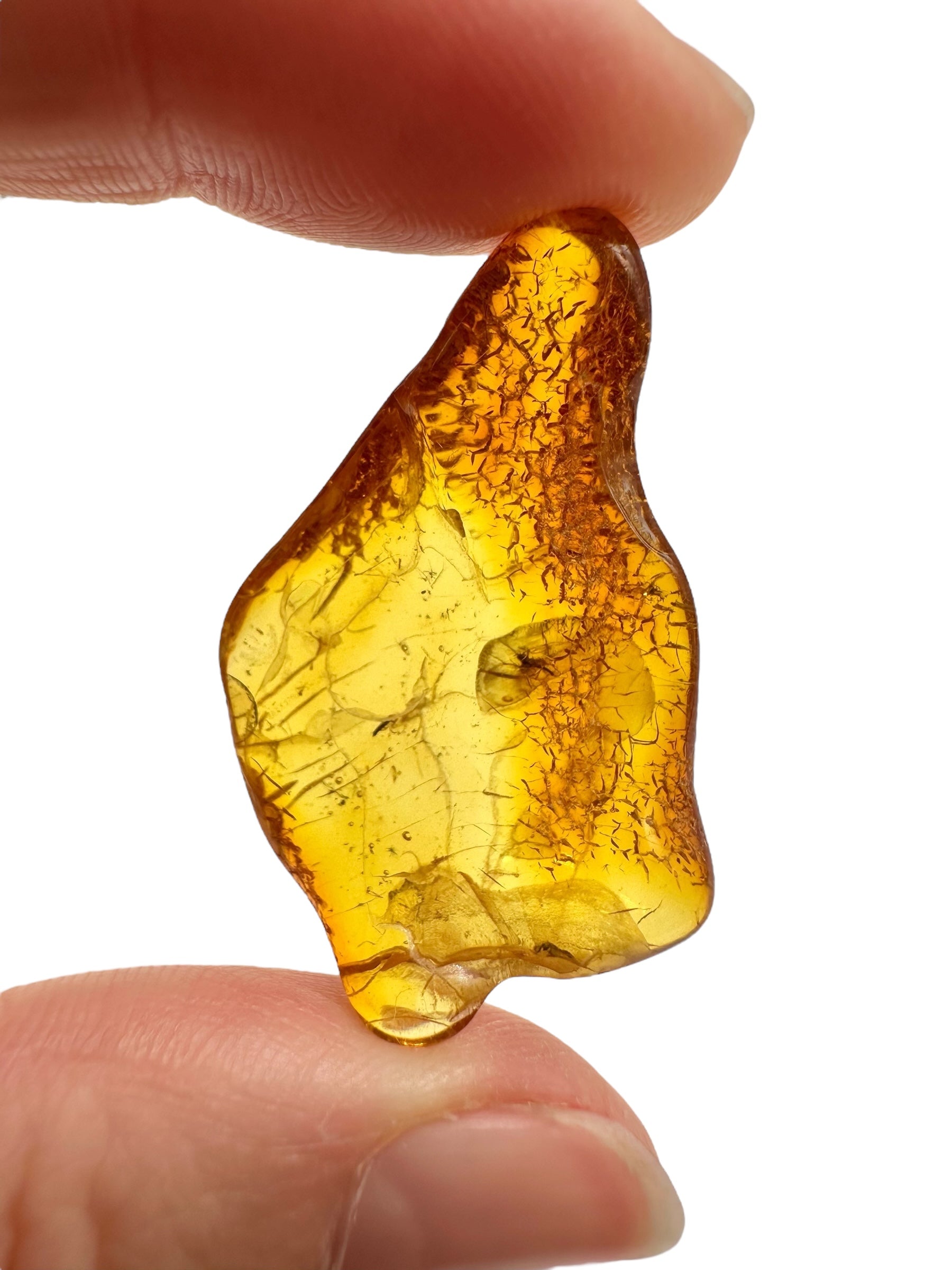 Insects in amber – Lithuania – 2,5g - IJ191