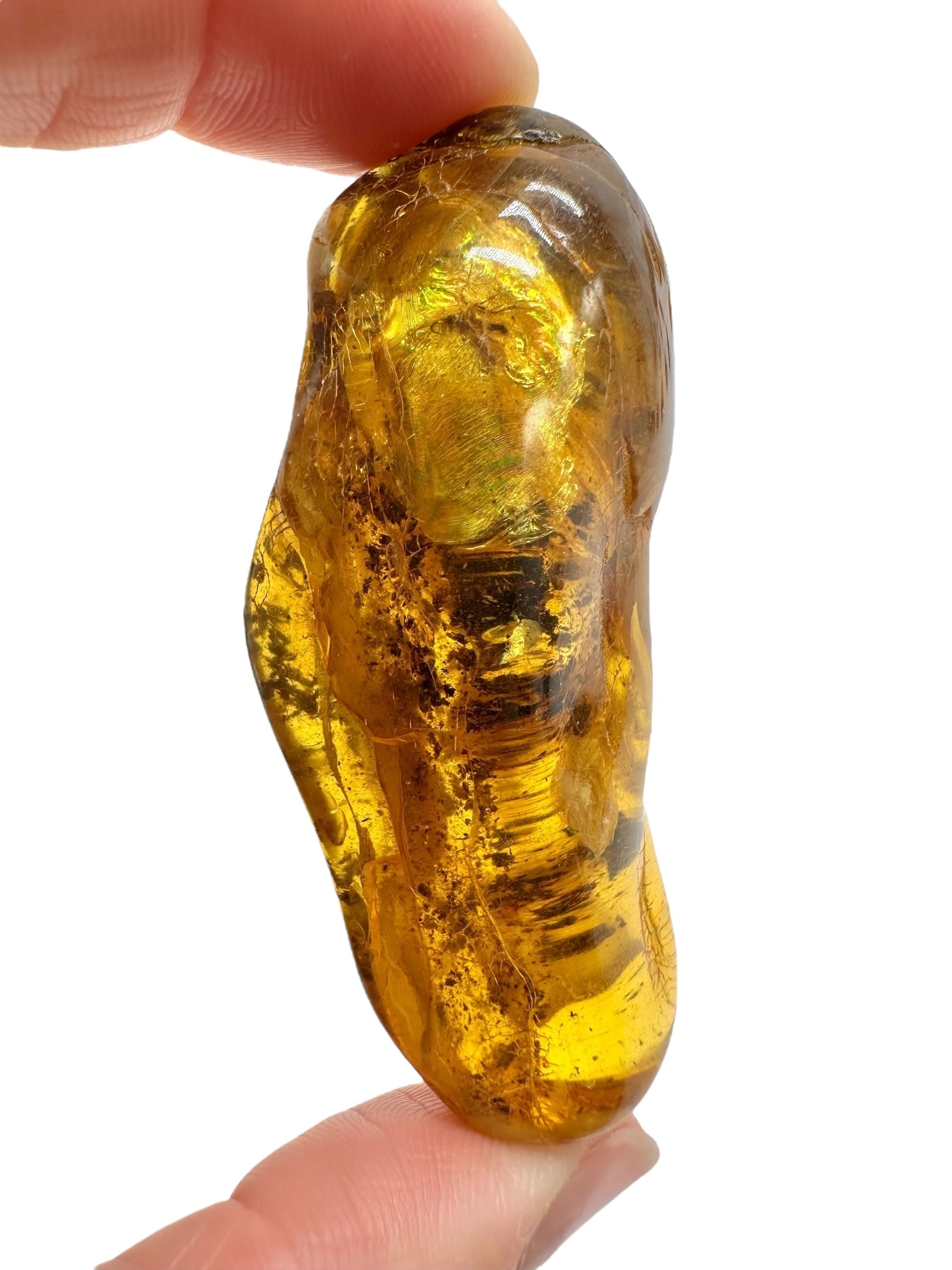 Insects in amber – Lithuania – 16,5g