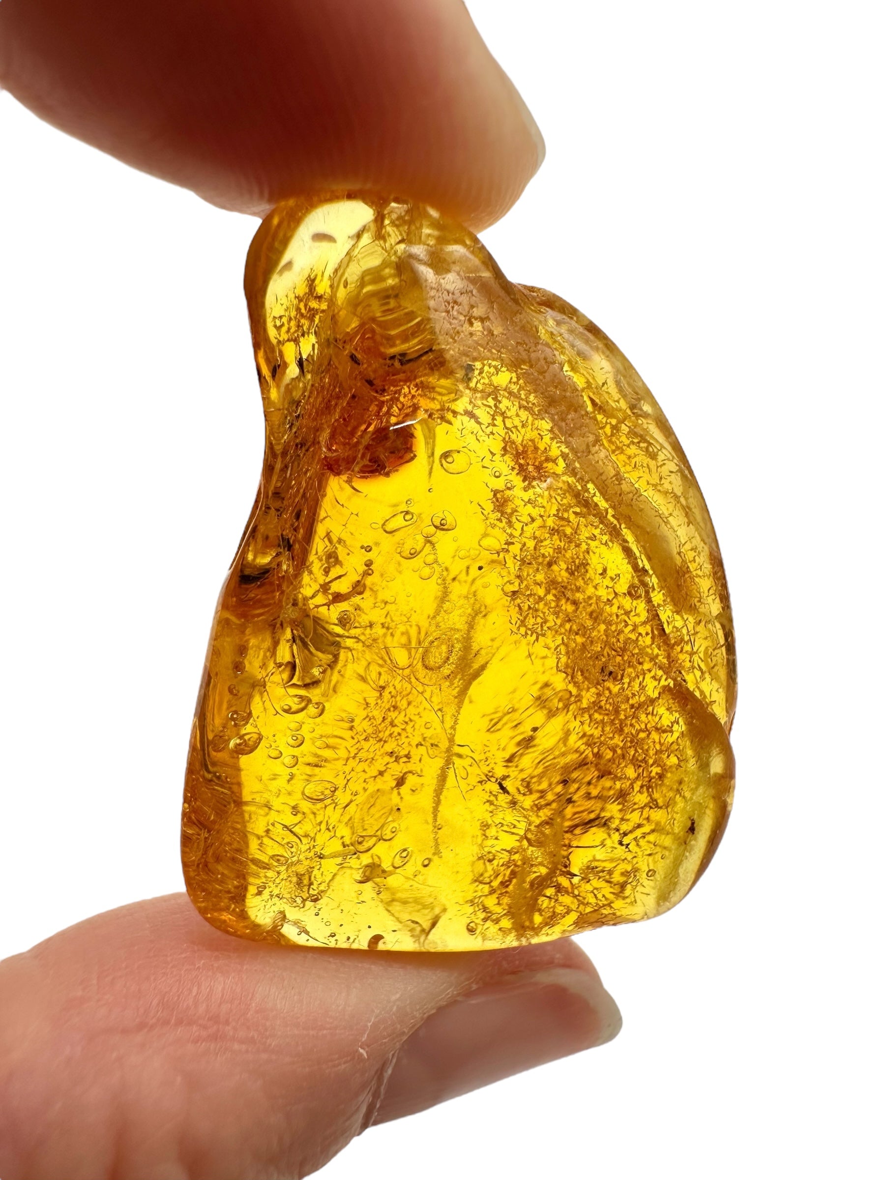 Insects in amber – Lithuania – 5g - IJ193