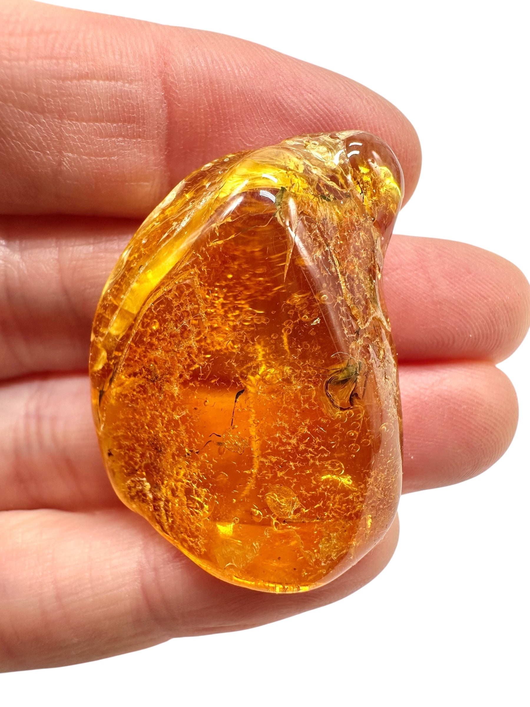 Insects in amber – Lithuania – 5g - IJ193