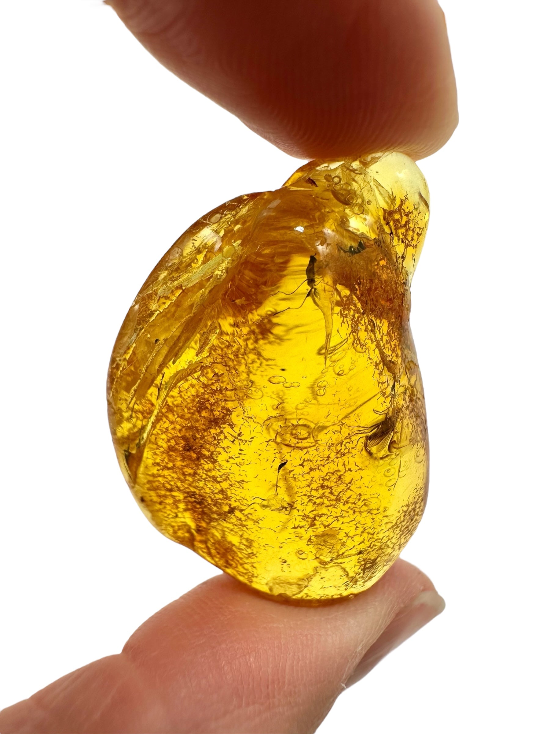 Insects in amber – Lithuania – 5g
