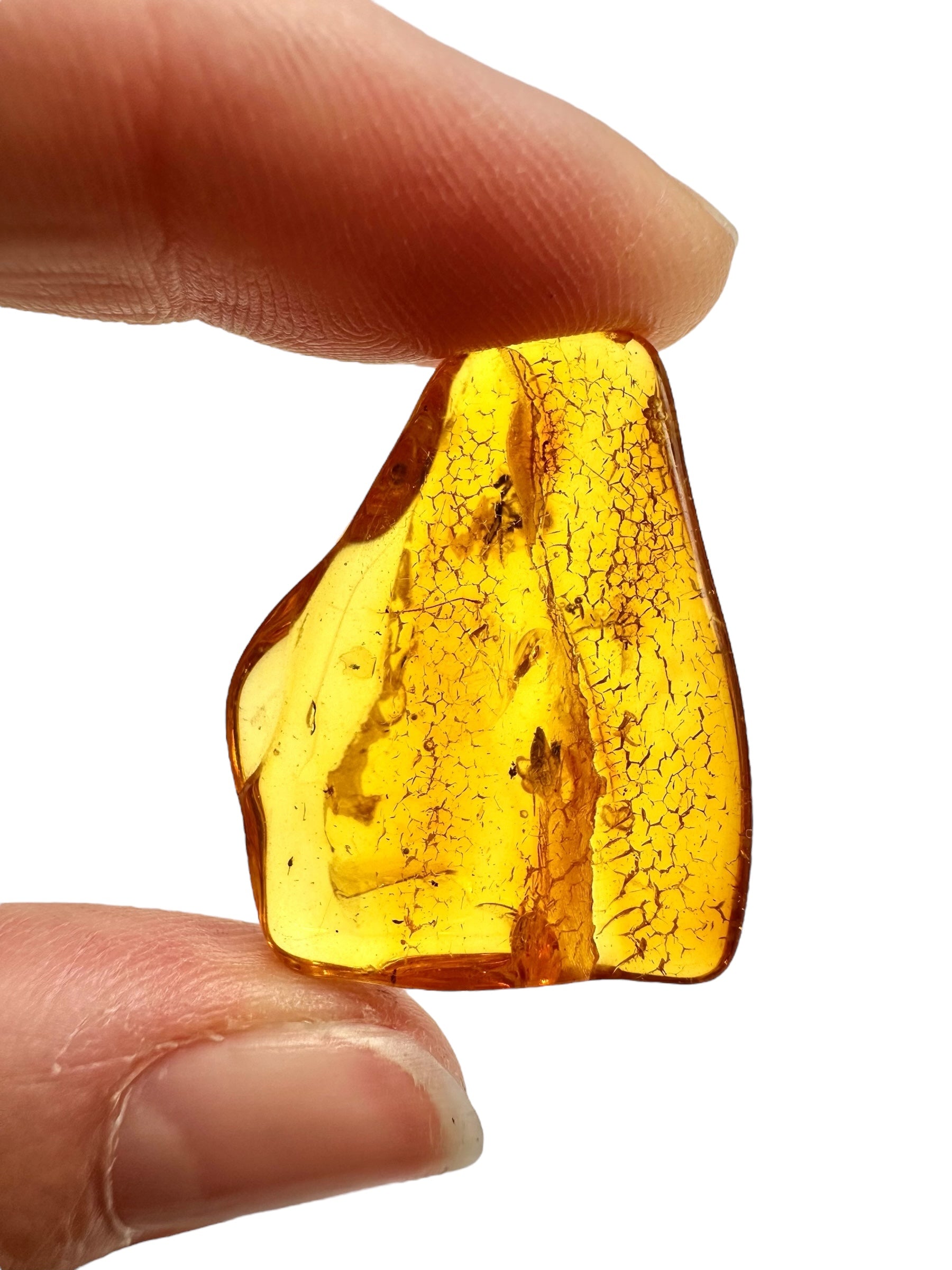 Insects in amber – Lithuania – 2,5g - IJ195