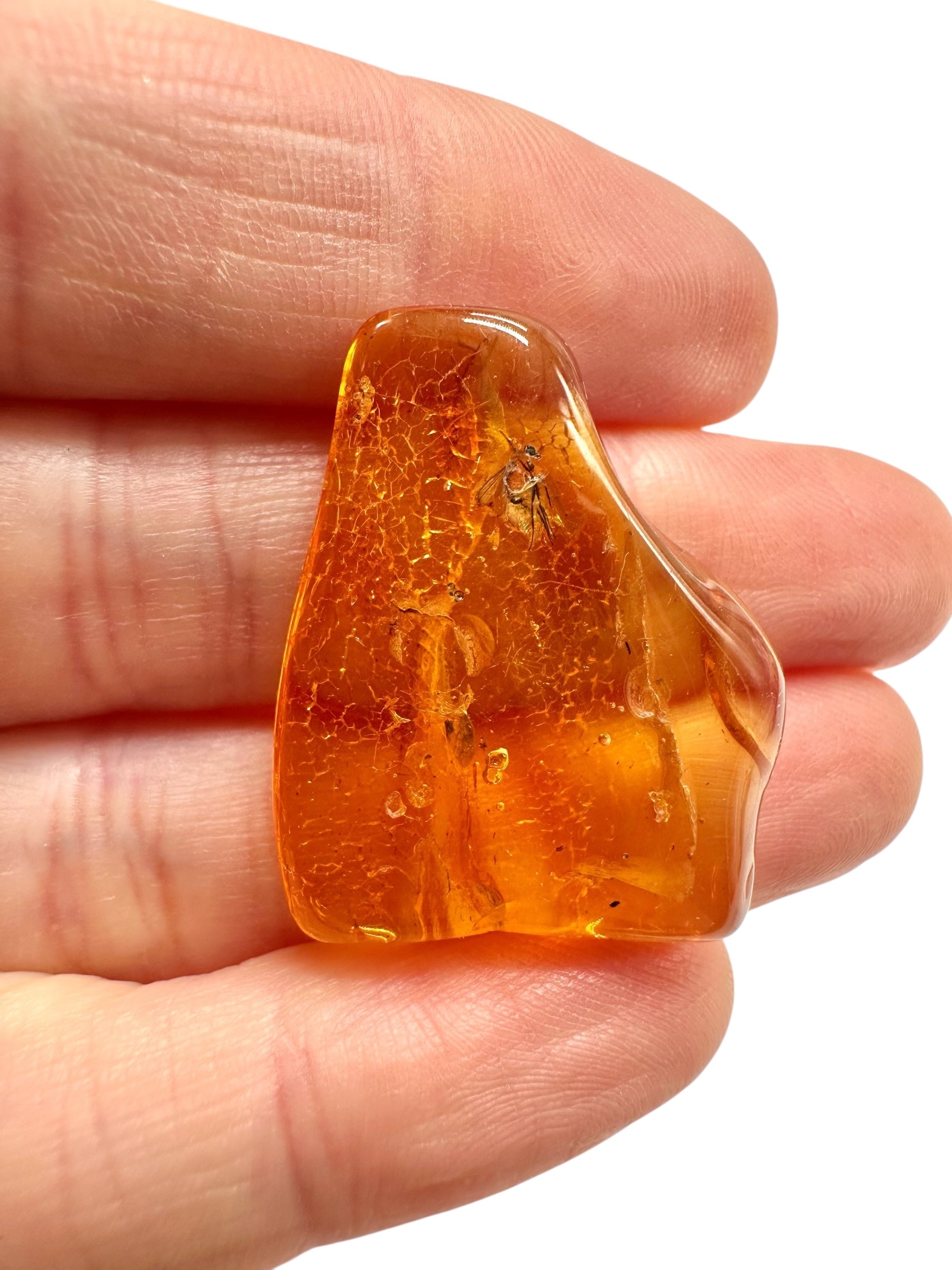 Insects in amber – Lithuania – 2,5g - IJ195