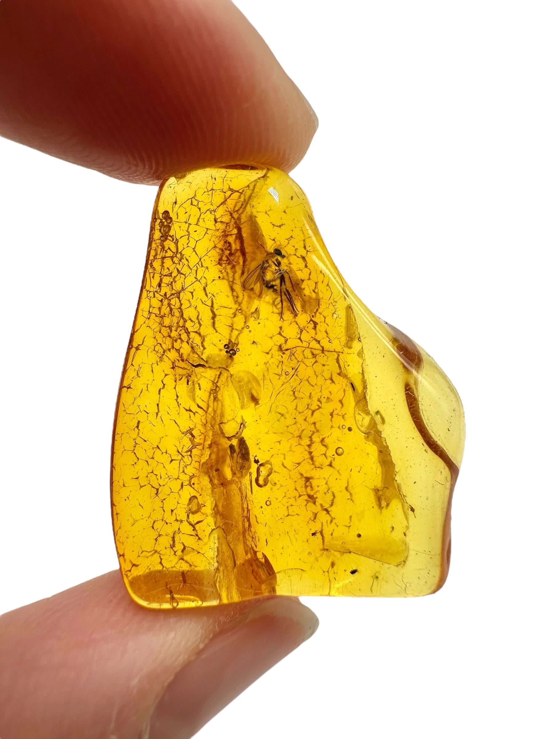 Insects in amber – Lithuania – 2,5g - IJ195