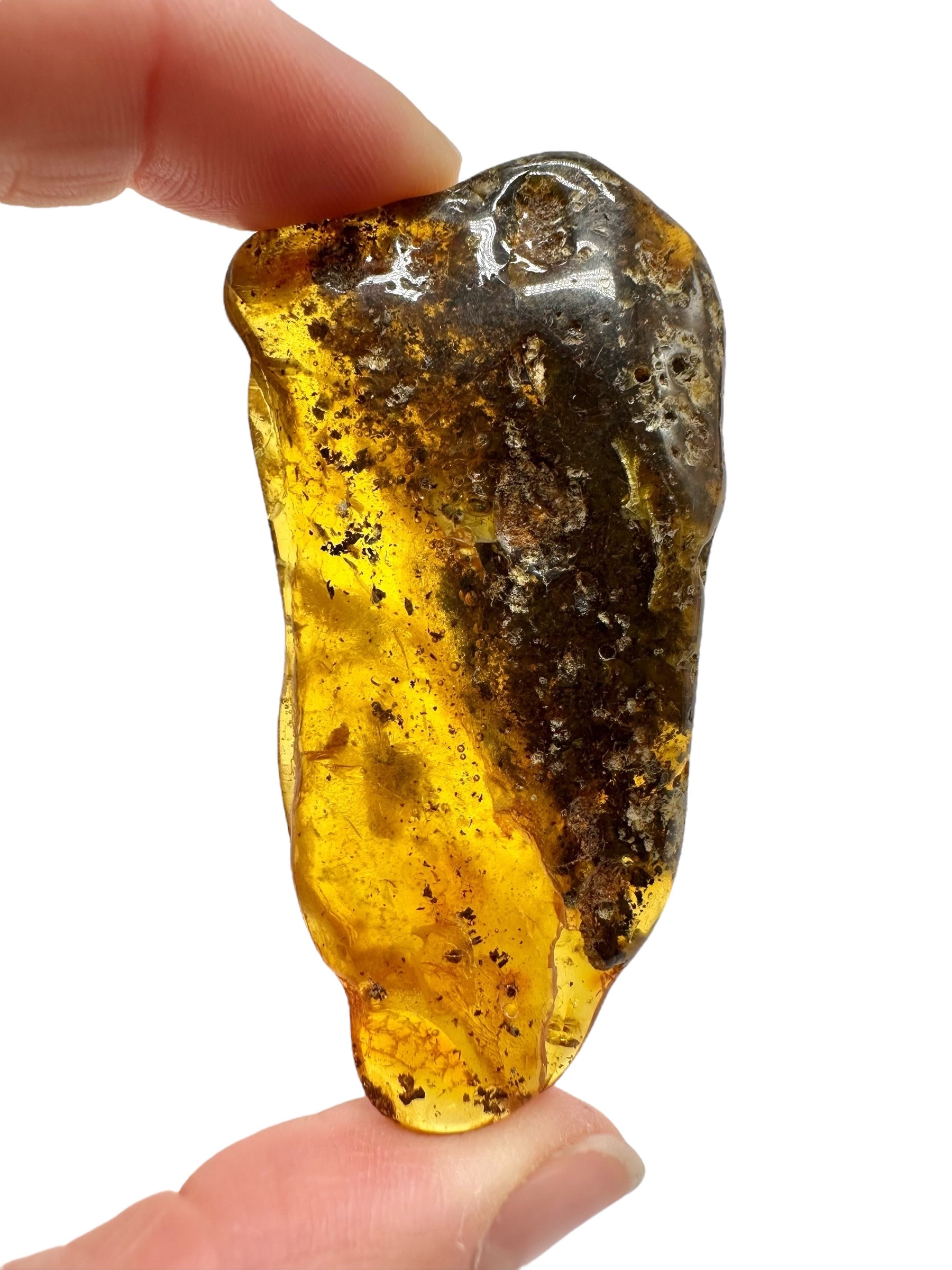 Insects in amber – Lithuania – 15g - IJ196