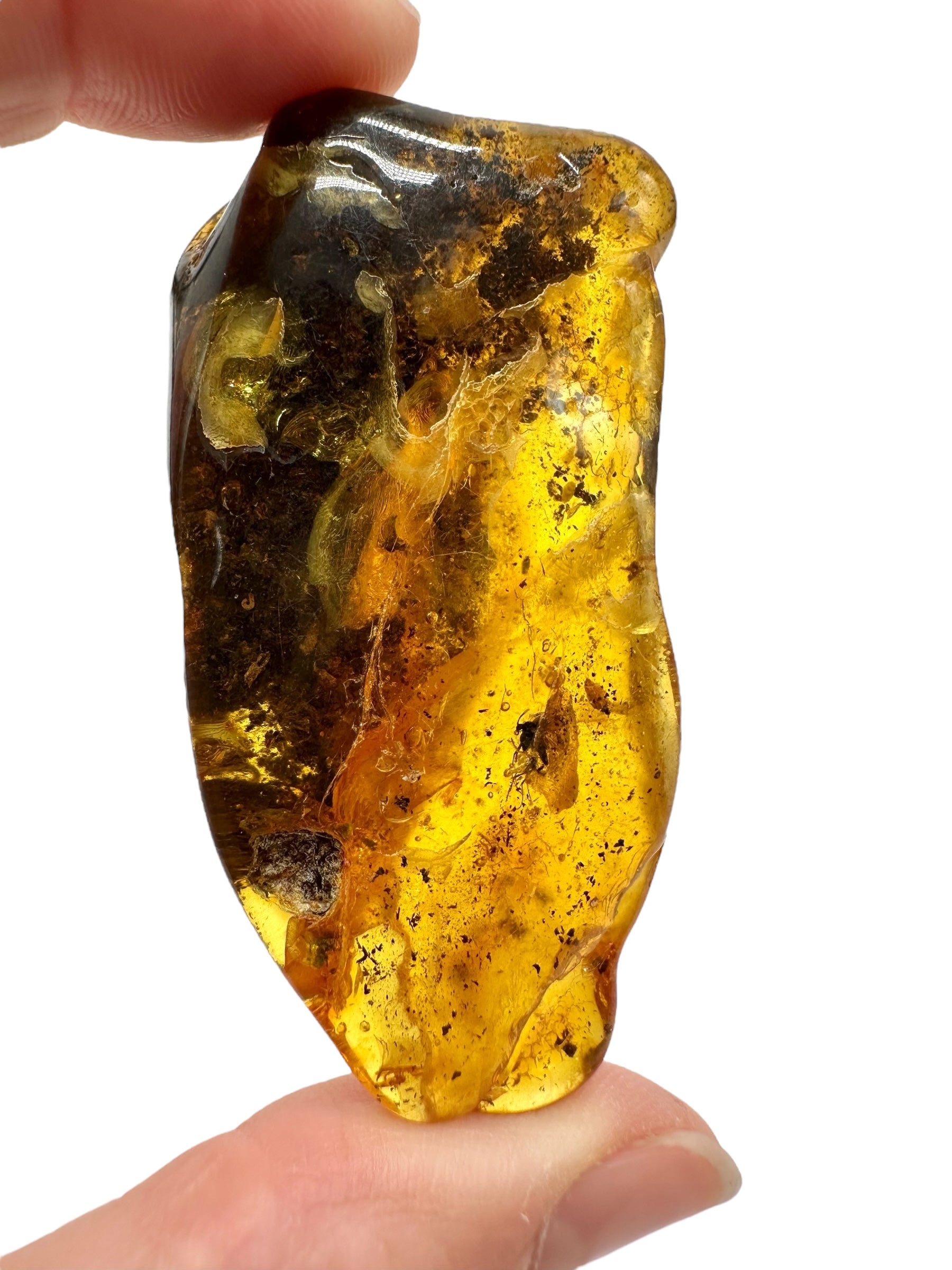 Insects in amber – Lithuania – 15g - IJ196