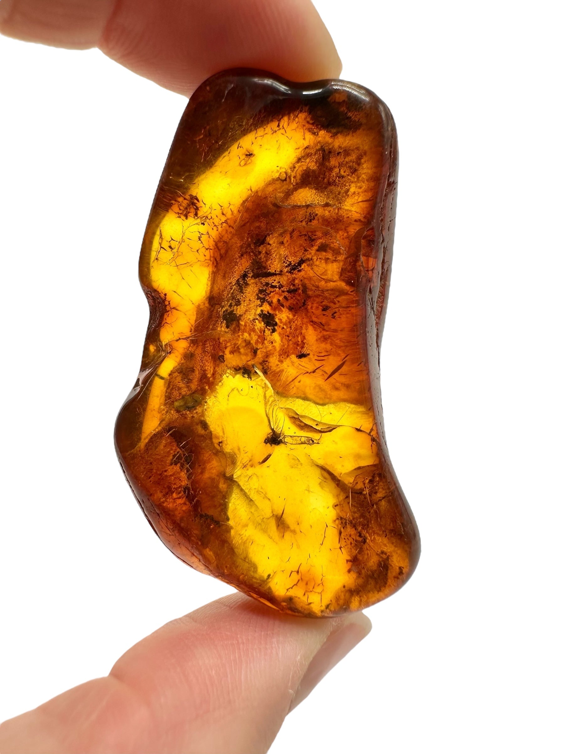 Insects in amber – Lithuania – 10g - IJ199