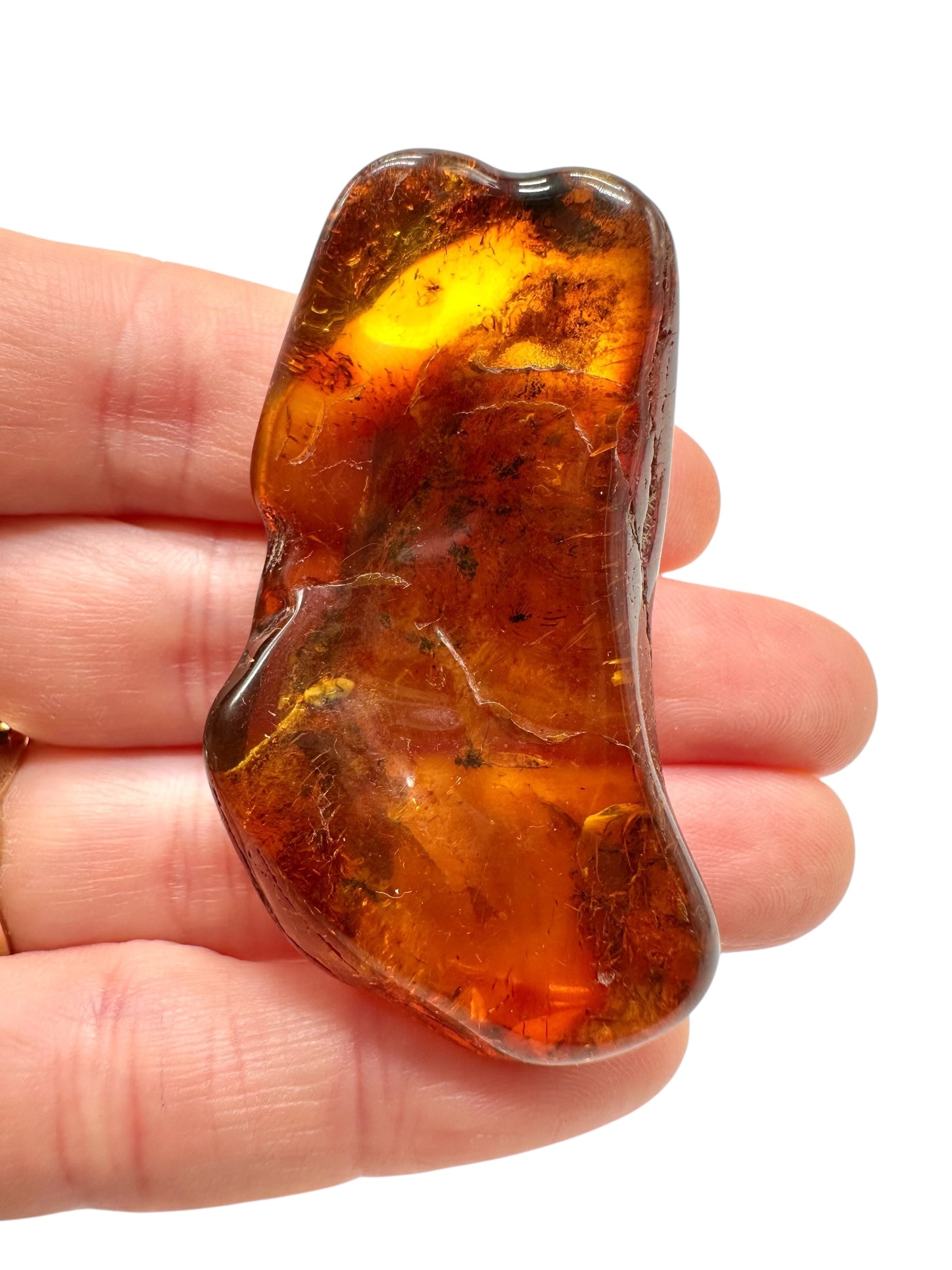 Insects in amber – Lithuania – 10g - IJ199