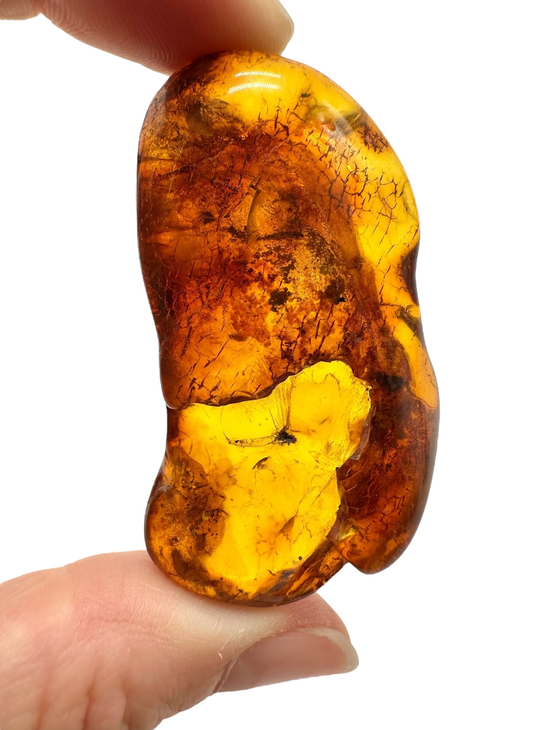 Insects in amber – Lithuania – 10g